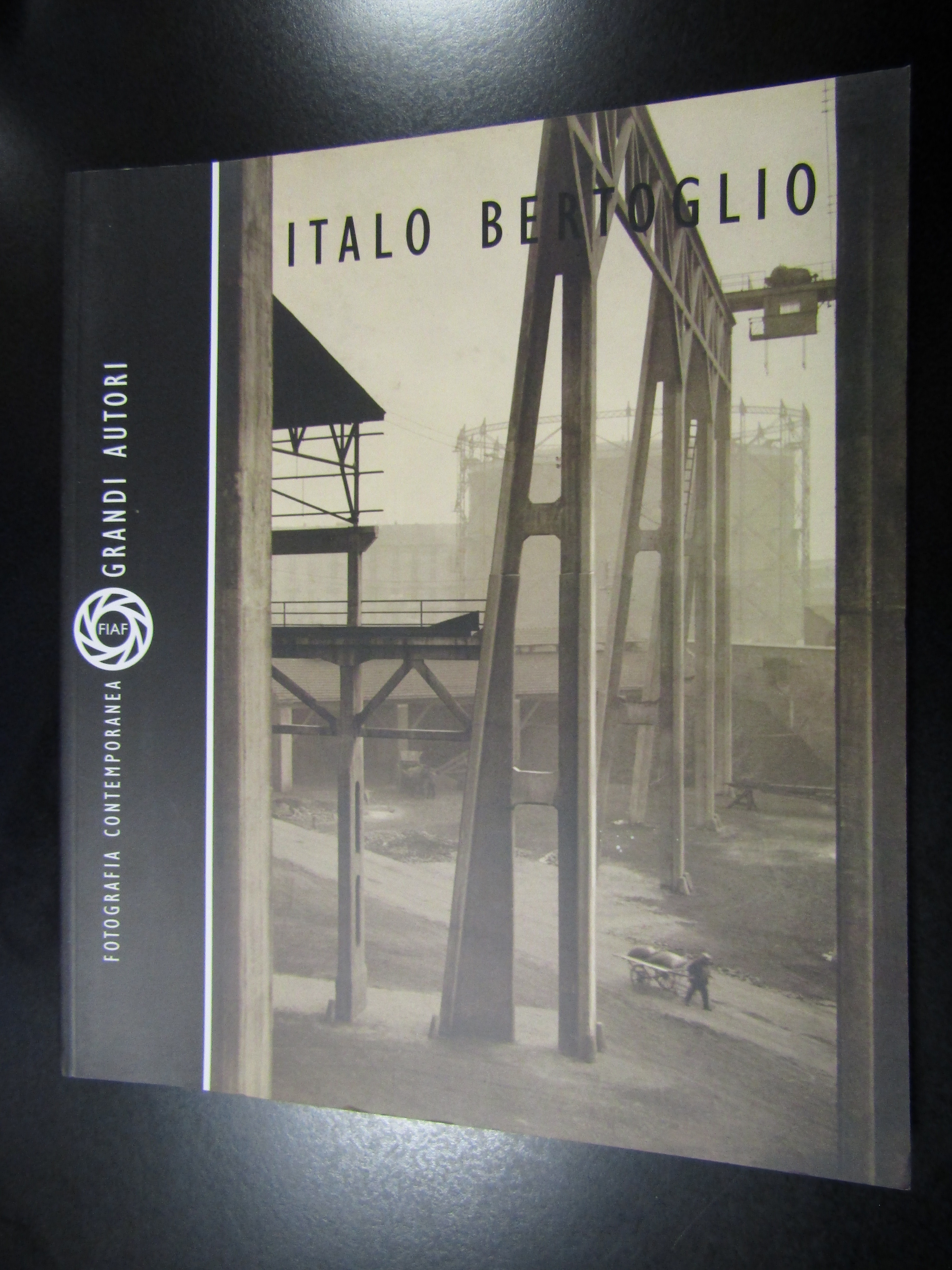 Italo Bertoglio. Fotografia contemporanea. Grandi Autori. FIAF 2009.