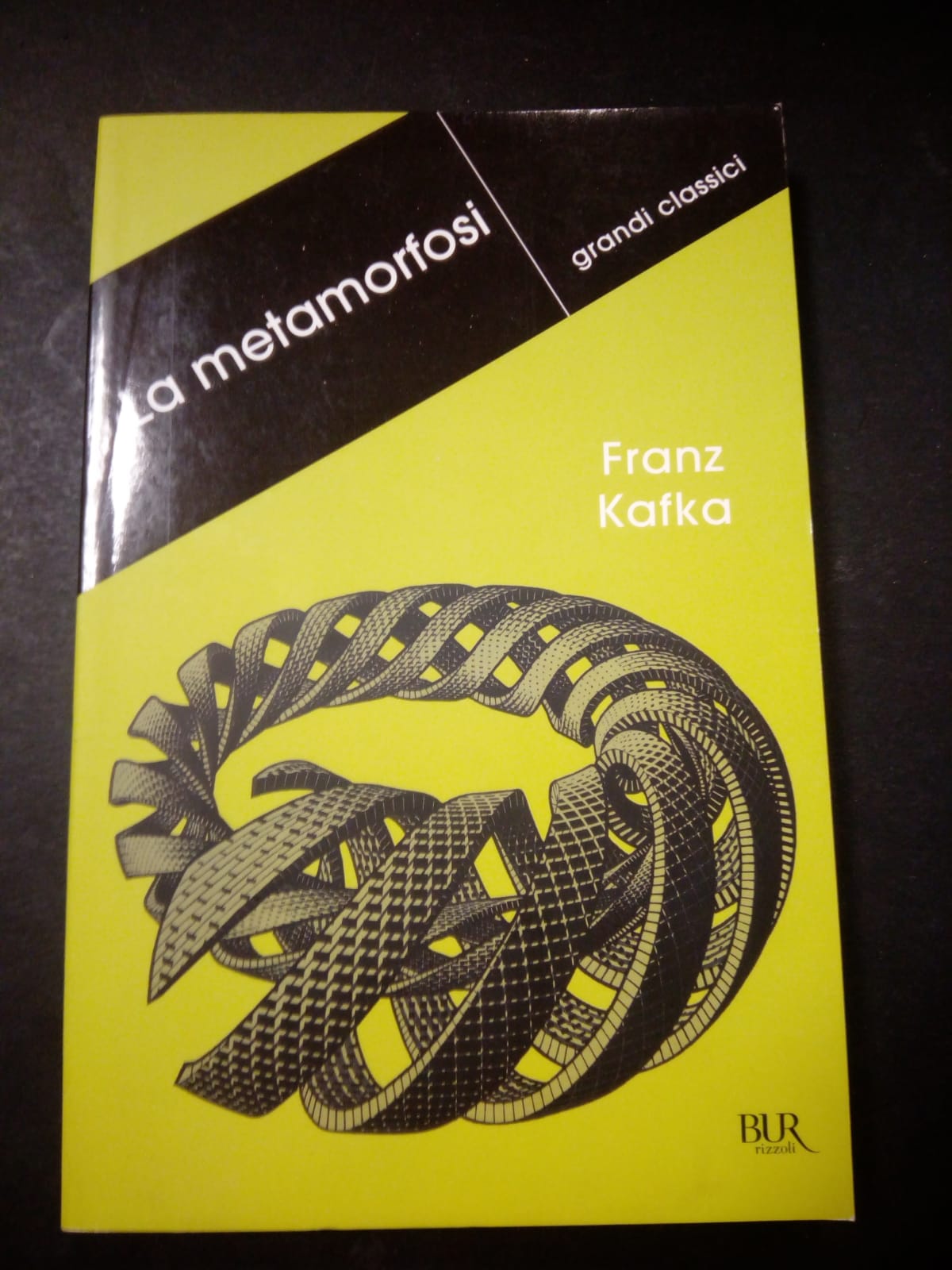 Kafka Franz. La metamorfosi. BUR. 2012
