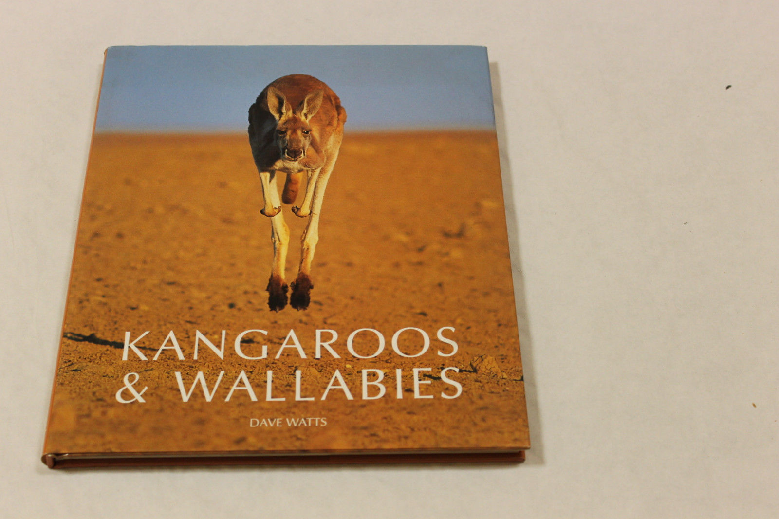 Kangaroos &amp; Wallabies of Australia