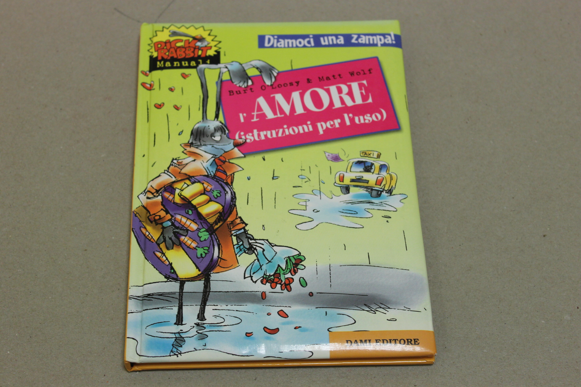 L'amore (istruzioni per l'uso)