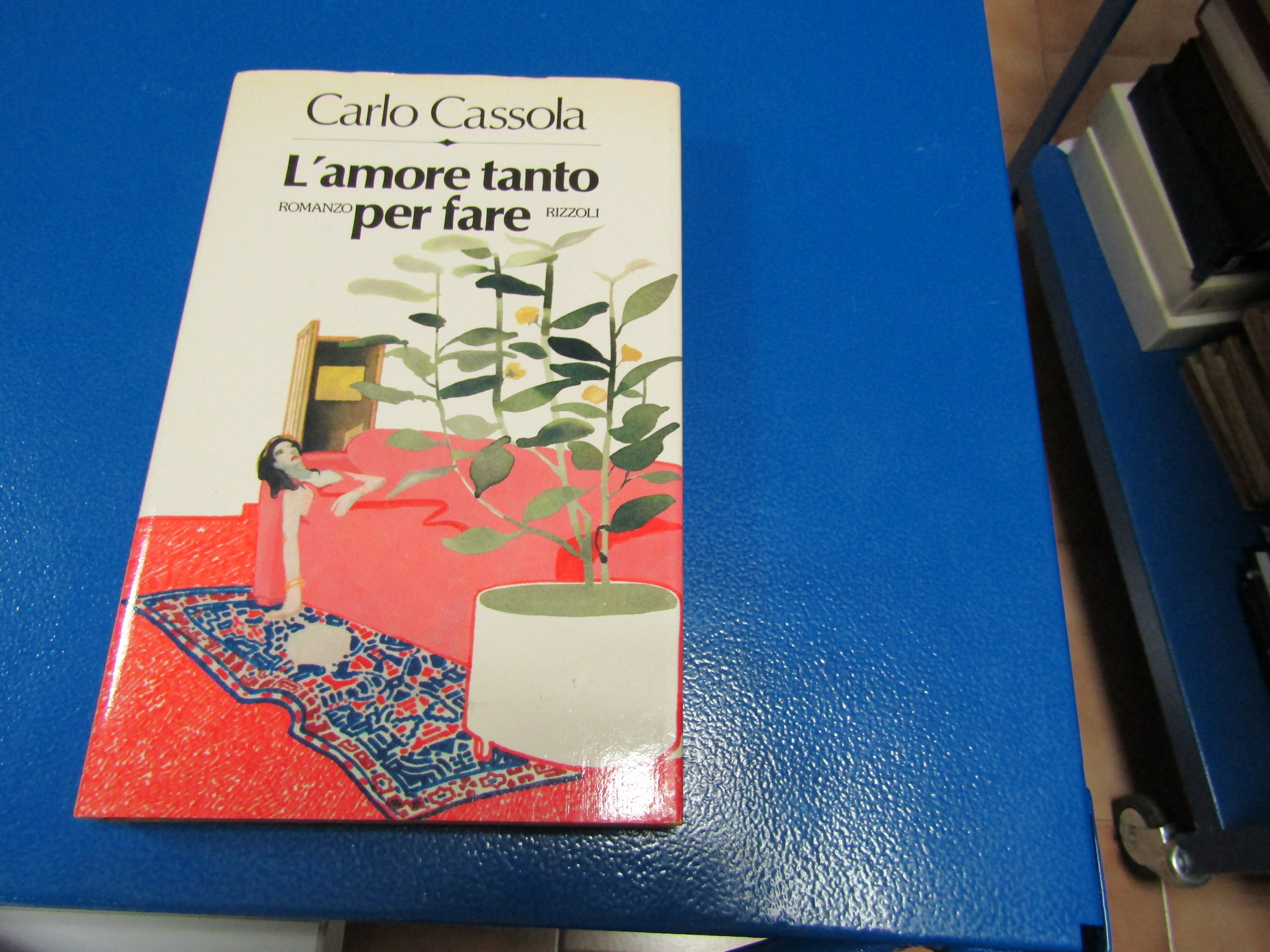 L'AMORE TANTO PER FARE