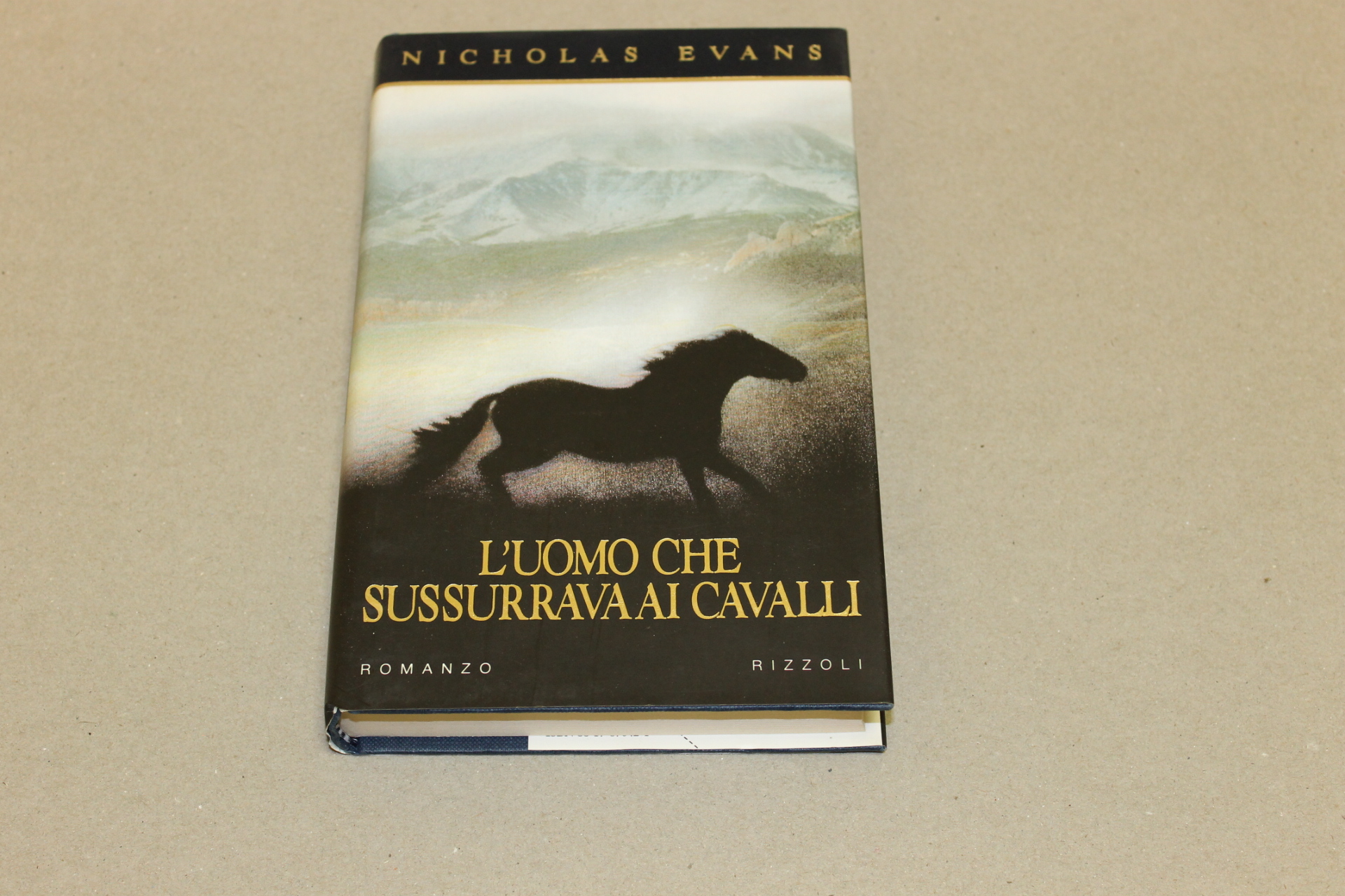 L'uomo che sussurrava ai cavalli