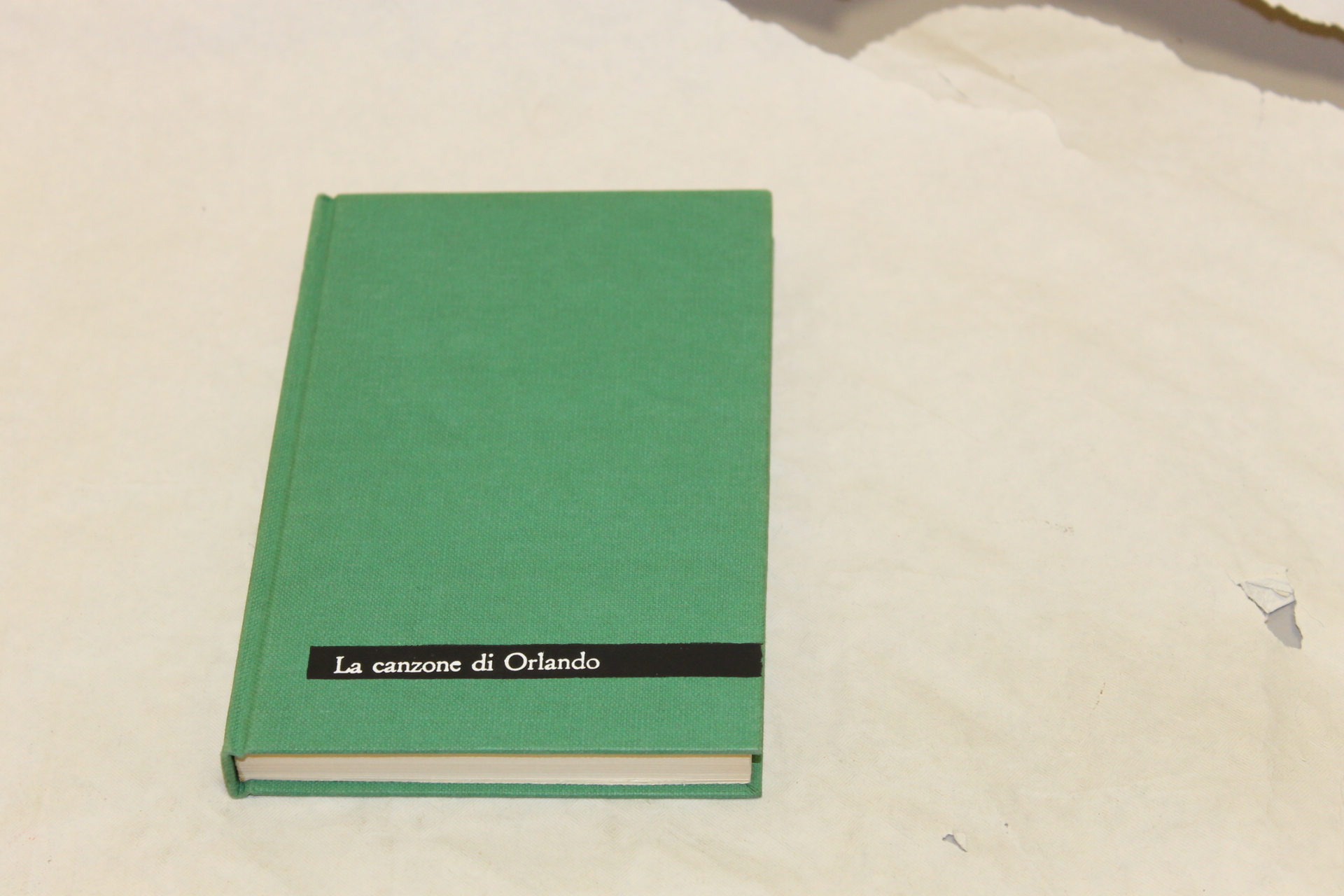 LA CANZONE DI ORLANDO