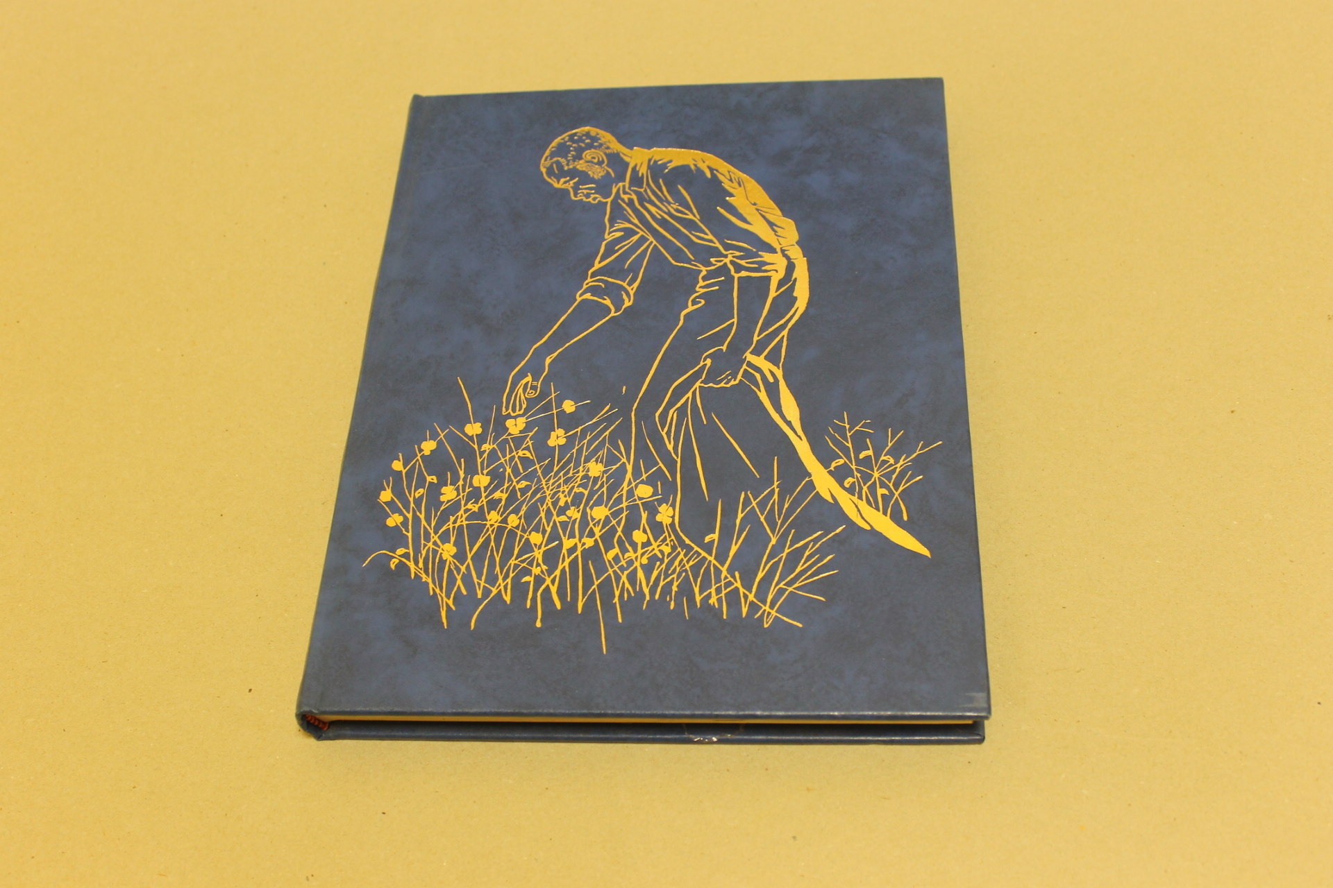 La capanna dello zio Tom