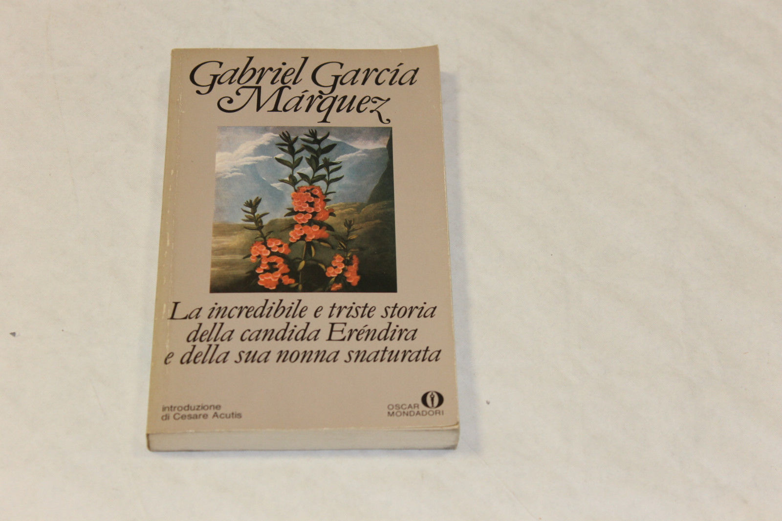 La incredibile e triste storia della candida Eréndira e della …
