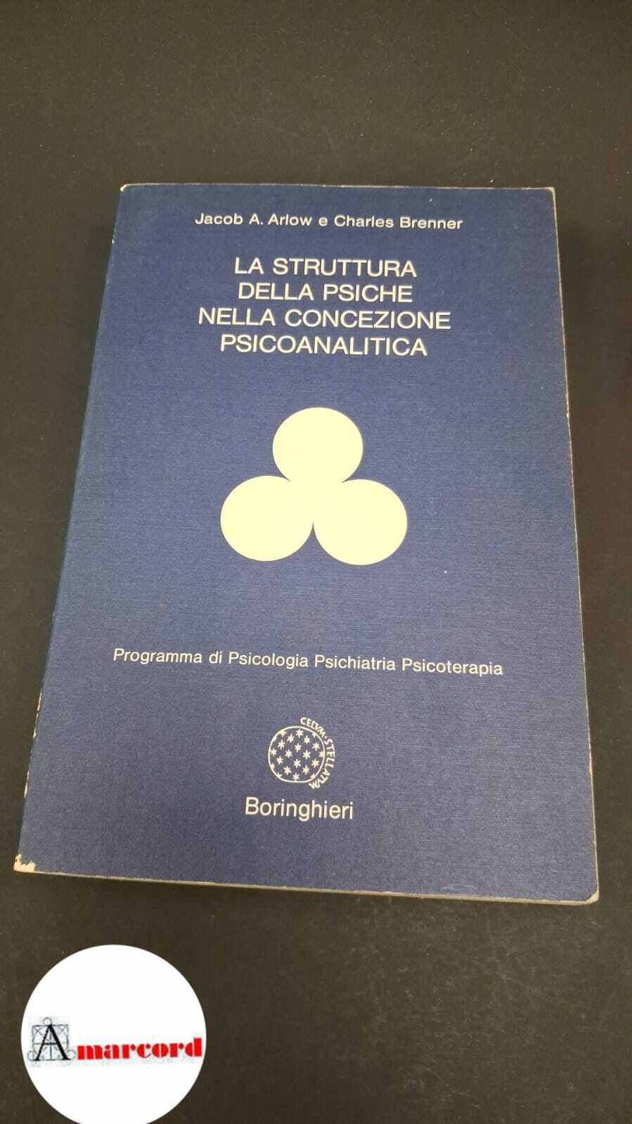 La struttura della psiche nella concezione psicoanalitica