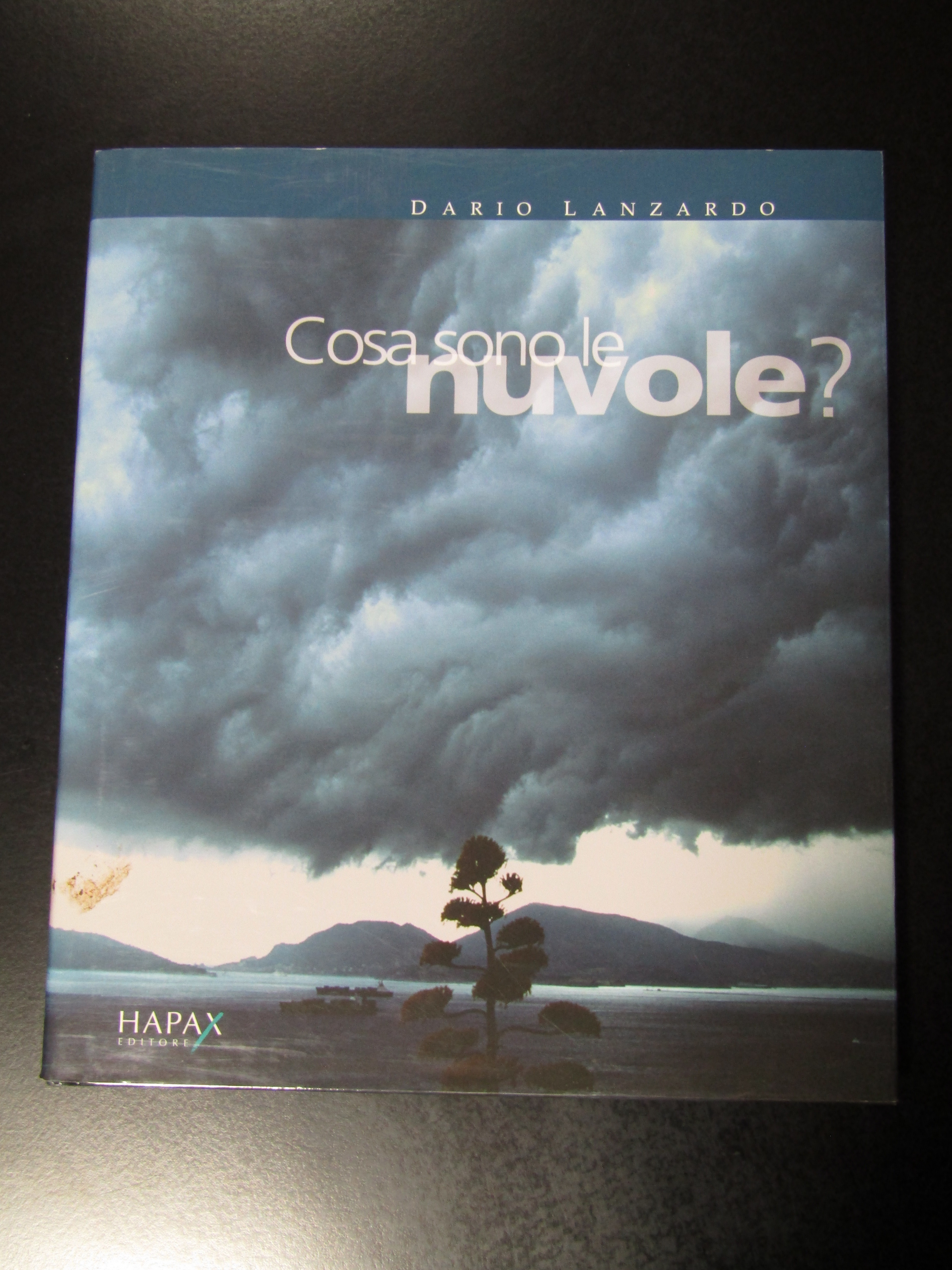 Lanzardo Dario. Cosa sono le nuvole. Hapax editore 2009.