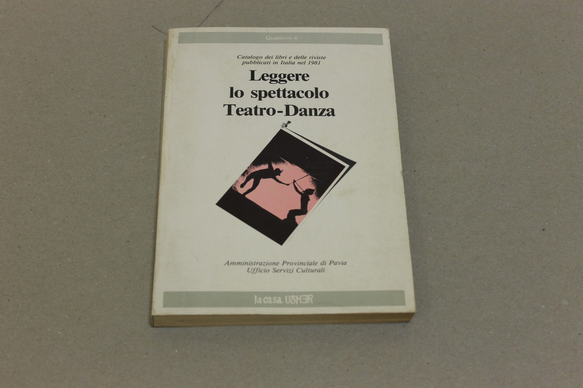 Leggere lo spettacolo Teatro-Danza