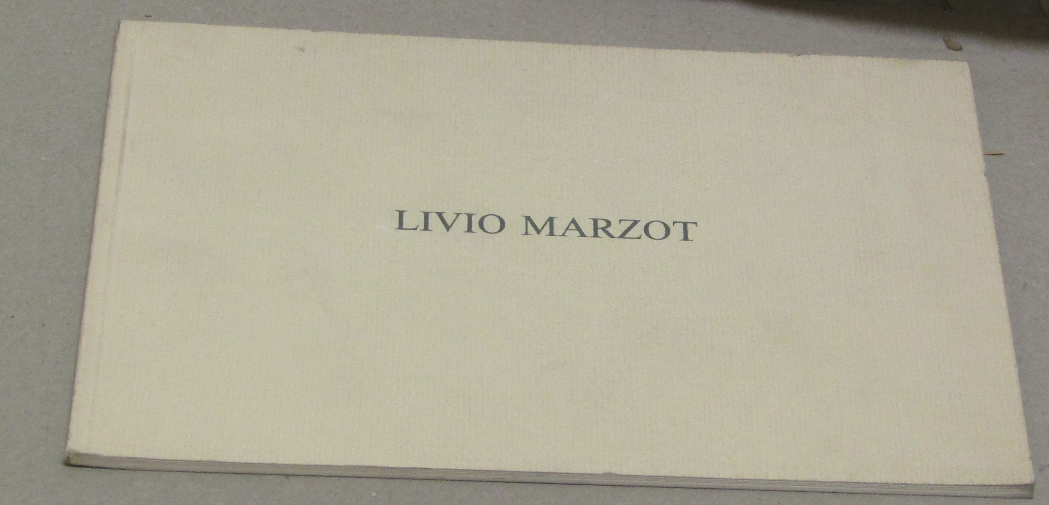 LIVIO MARZOT Venti paesaggi e un ritratto