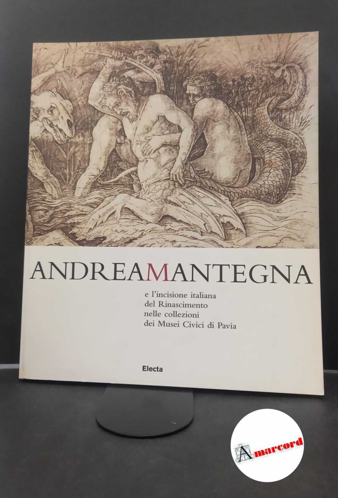 Lomartire, Saverio. , Musei civici di Pavia. Andrea Mantegna e …