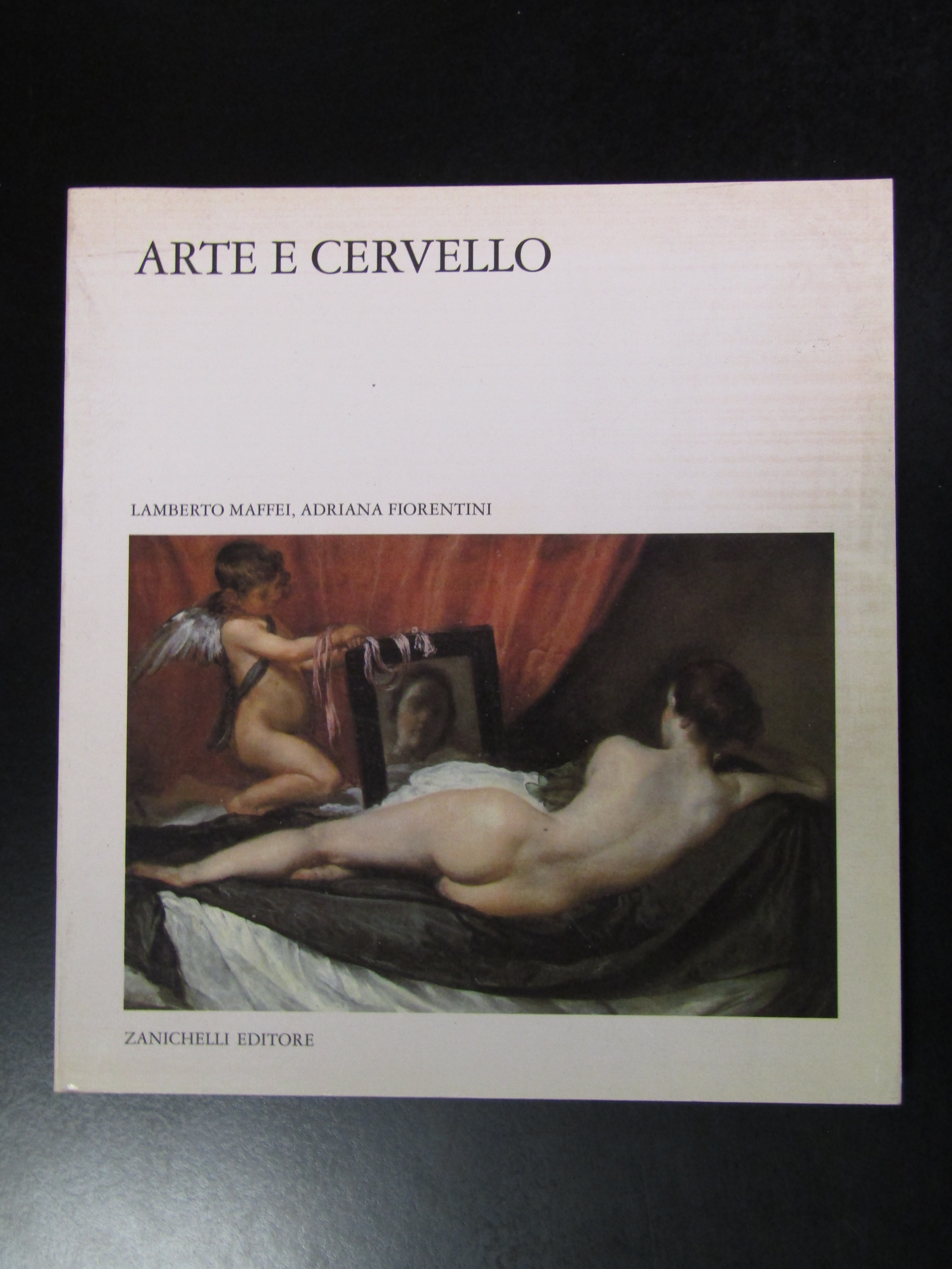 Maffei e Fiorentini. Arte e cervello. Zanichelli 1996.