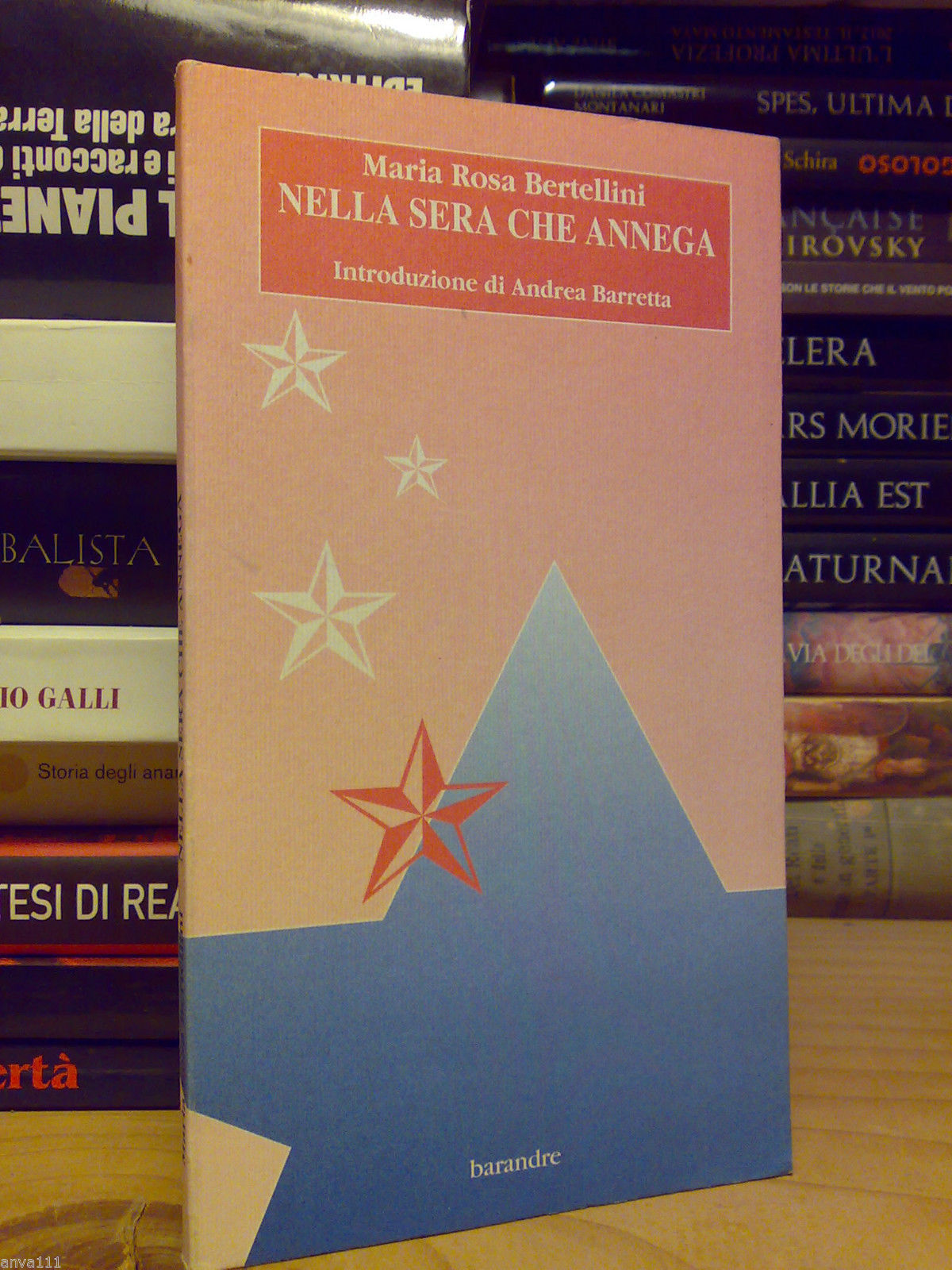 Maria Rosa Bertellini - NELLA SERA CHE ANNEGA - poesie …
