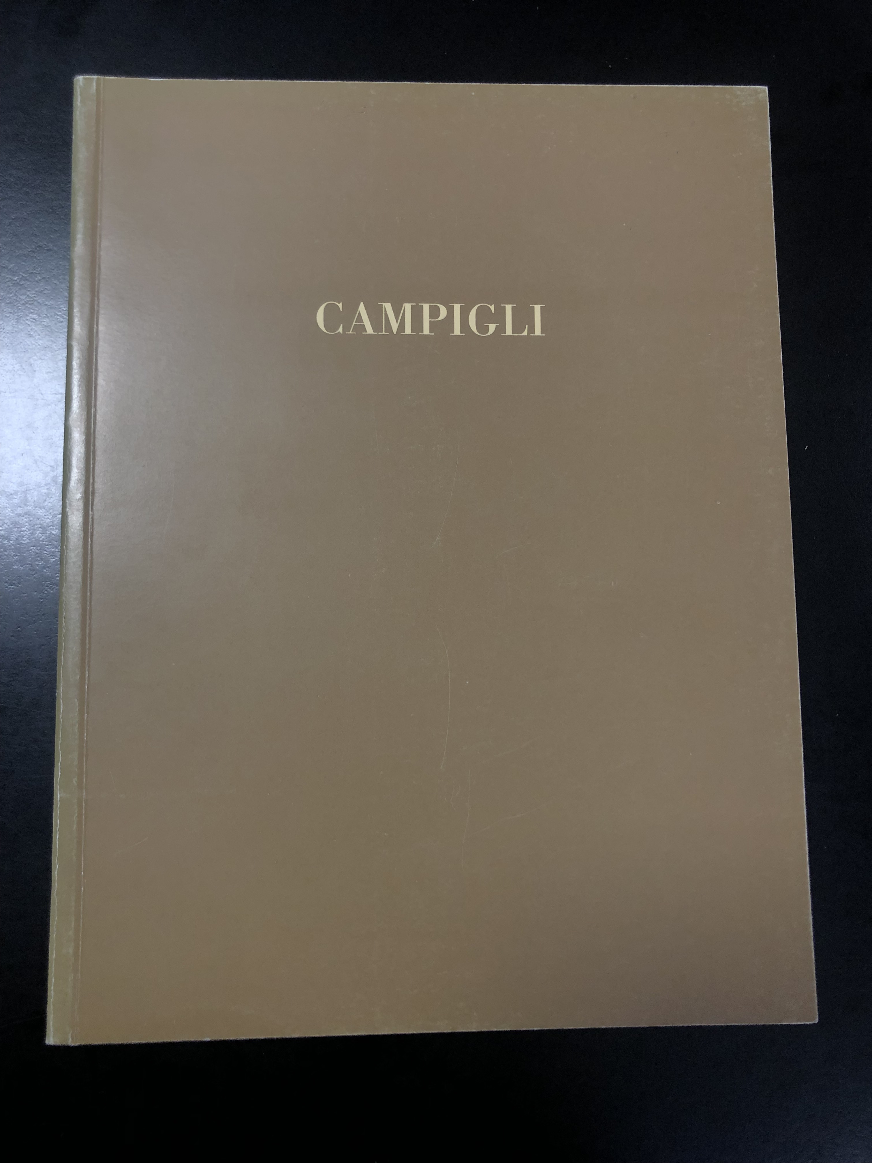 Massimo Campigli. Galleria Tega 2000.