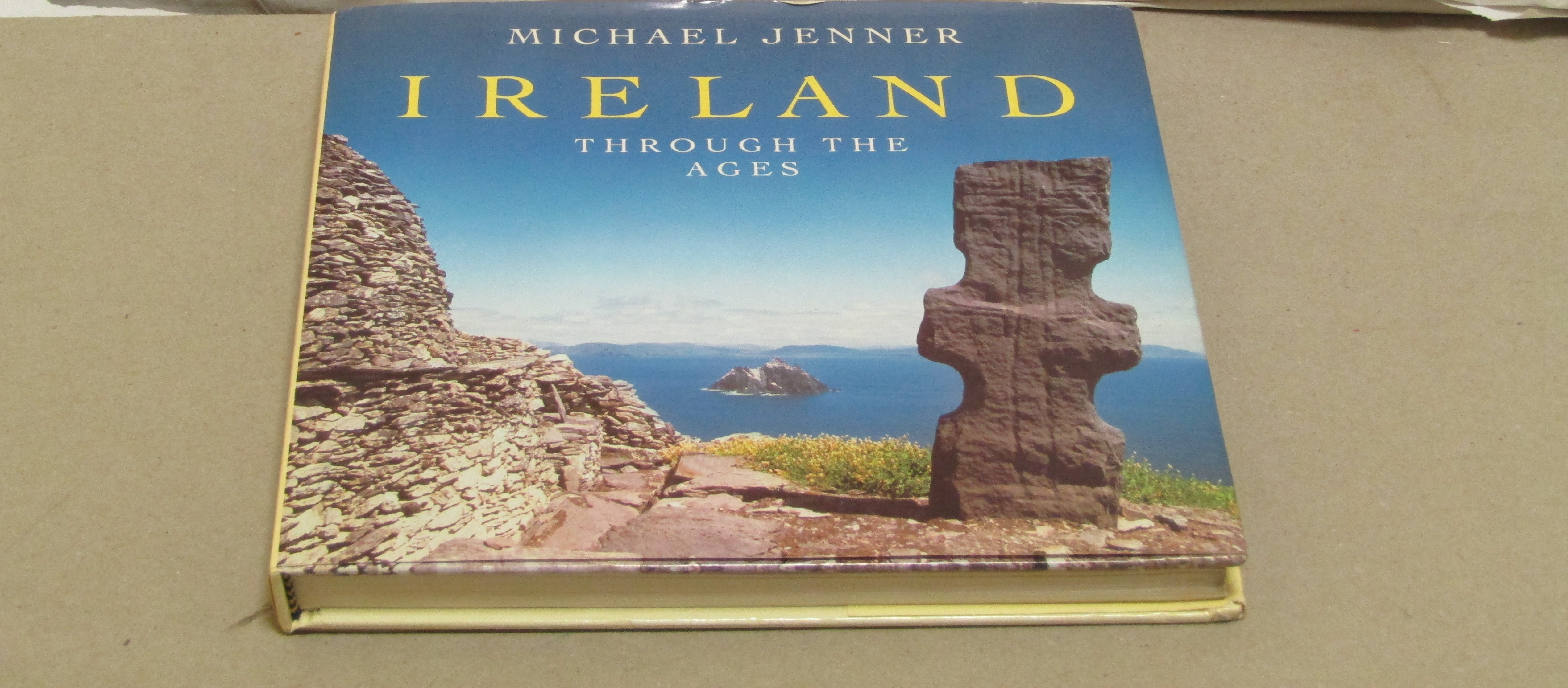 Michael Jenner. Ireland through the ages.