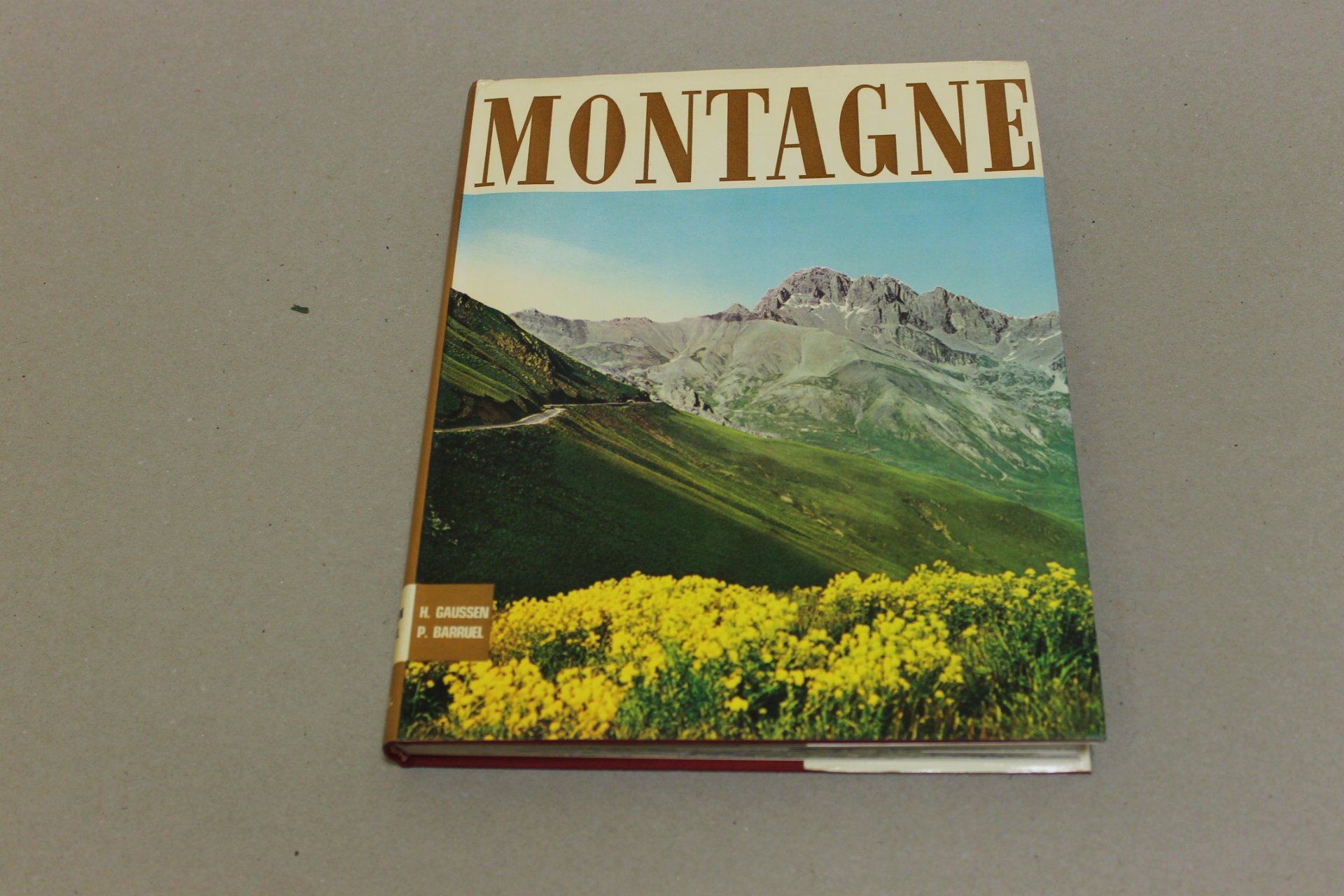Montagne - La vita alle grandi altezze