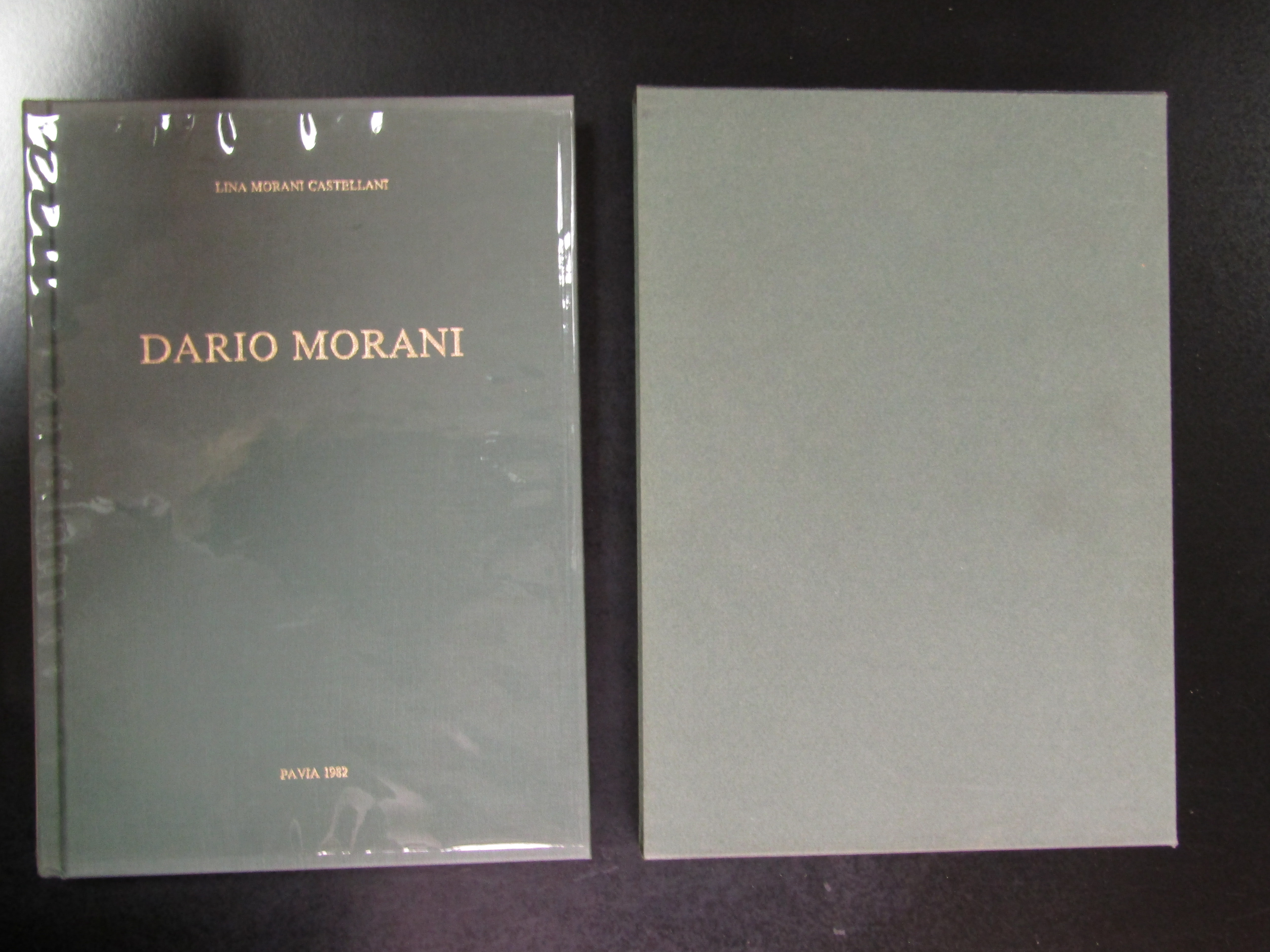 Morani Castellani Lina. Dario Morani. 1982. Con cofanetto.