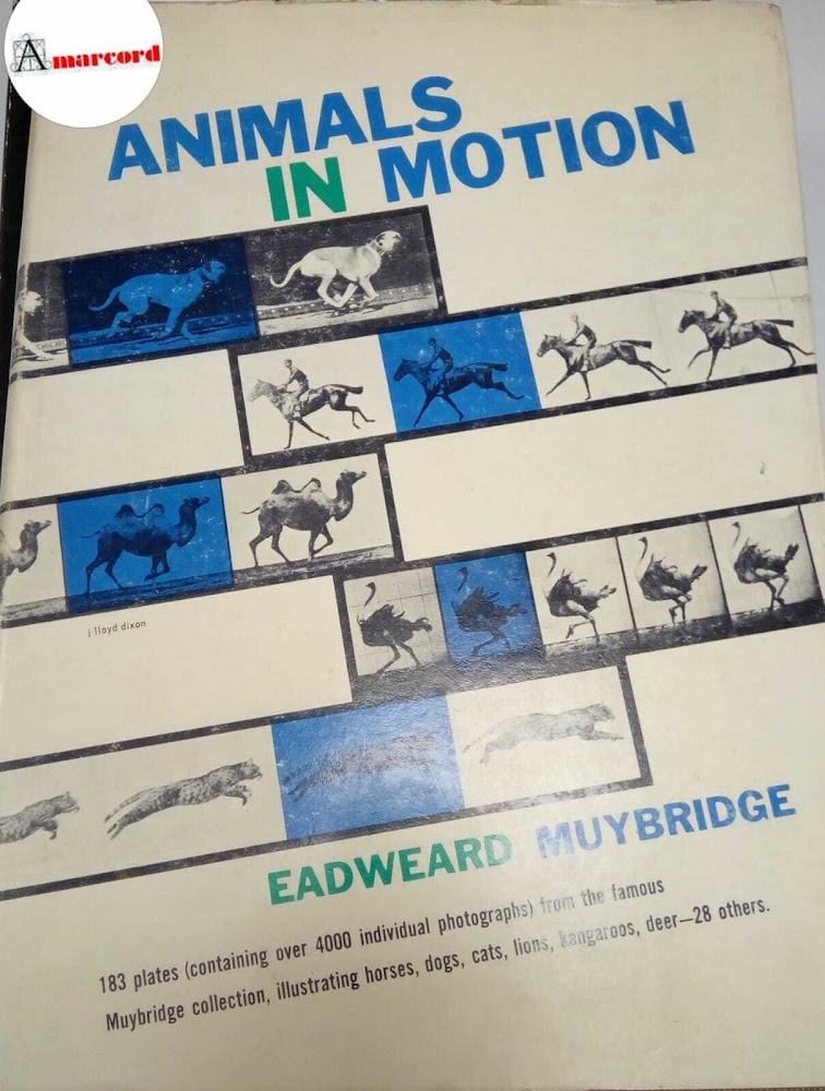 Muybridge Eadweard, Animals in motion, Dover Publications, 1957.