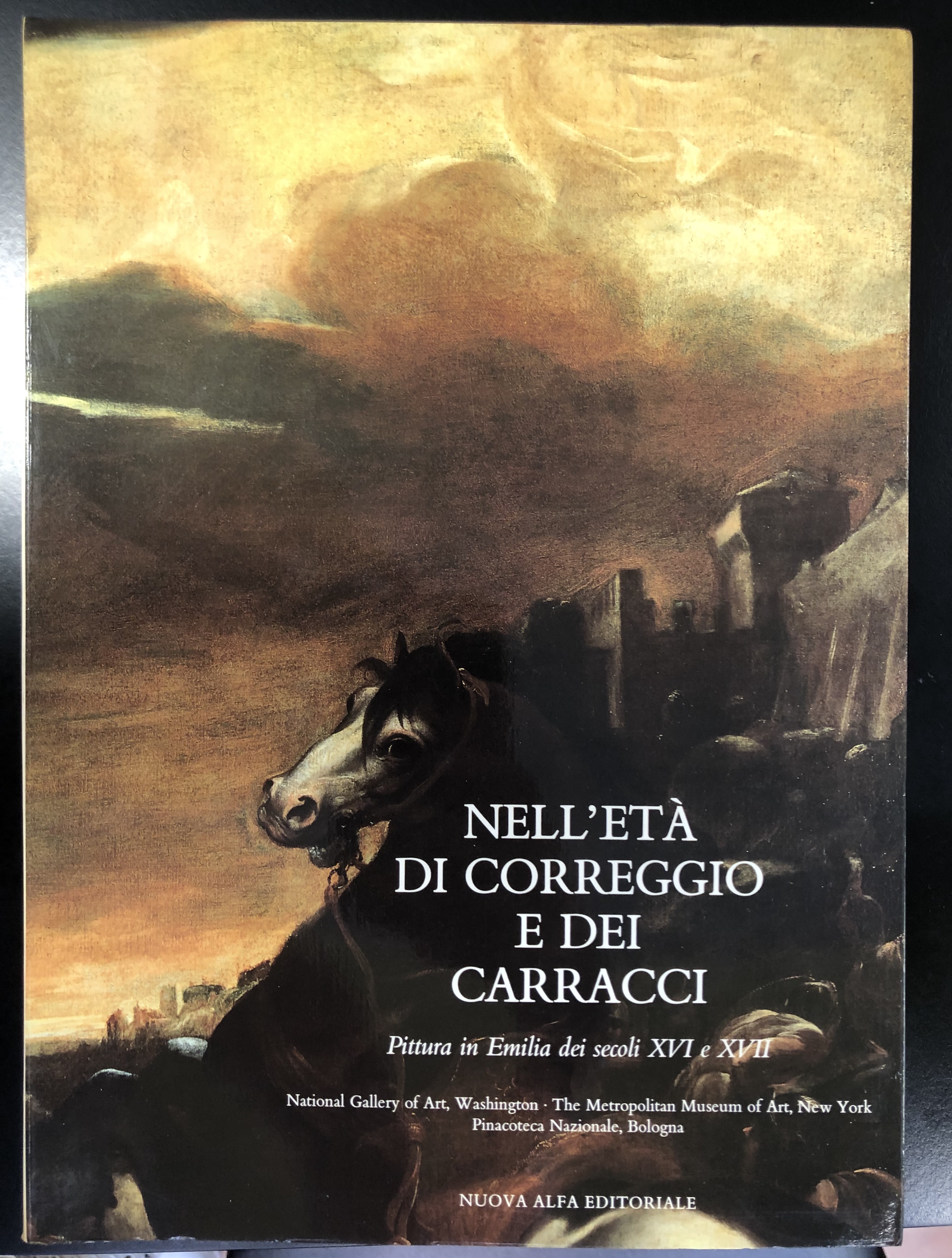 Nell'età di Correggio e dei Carracci. Pittura in Emilia dei …