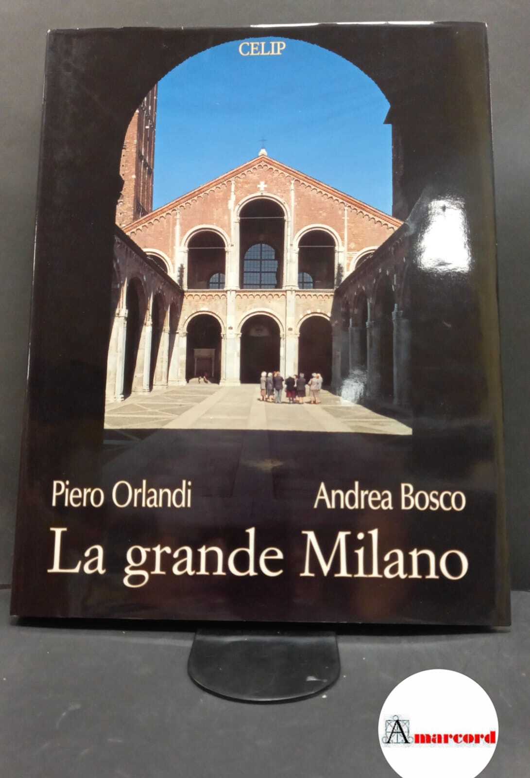 Orlandi, Piero. , and Bosco, Andrea. , and Bandel Dragone, …