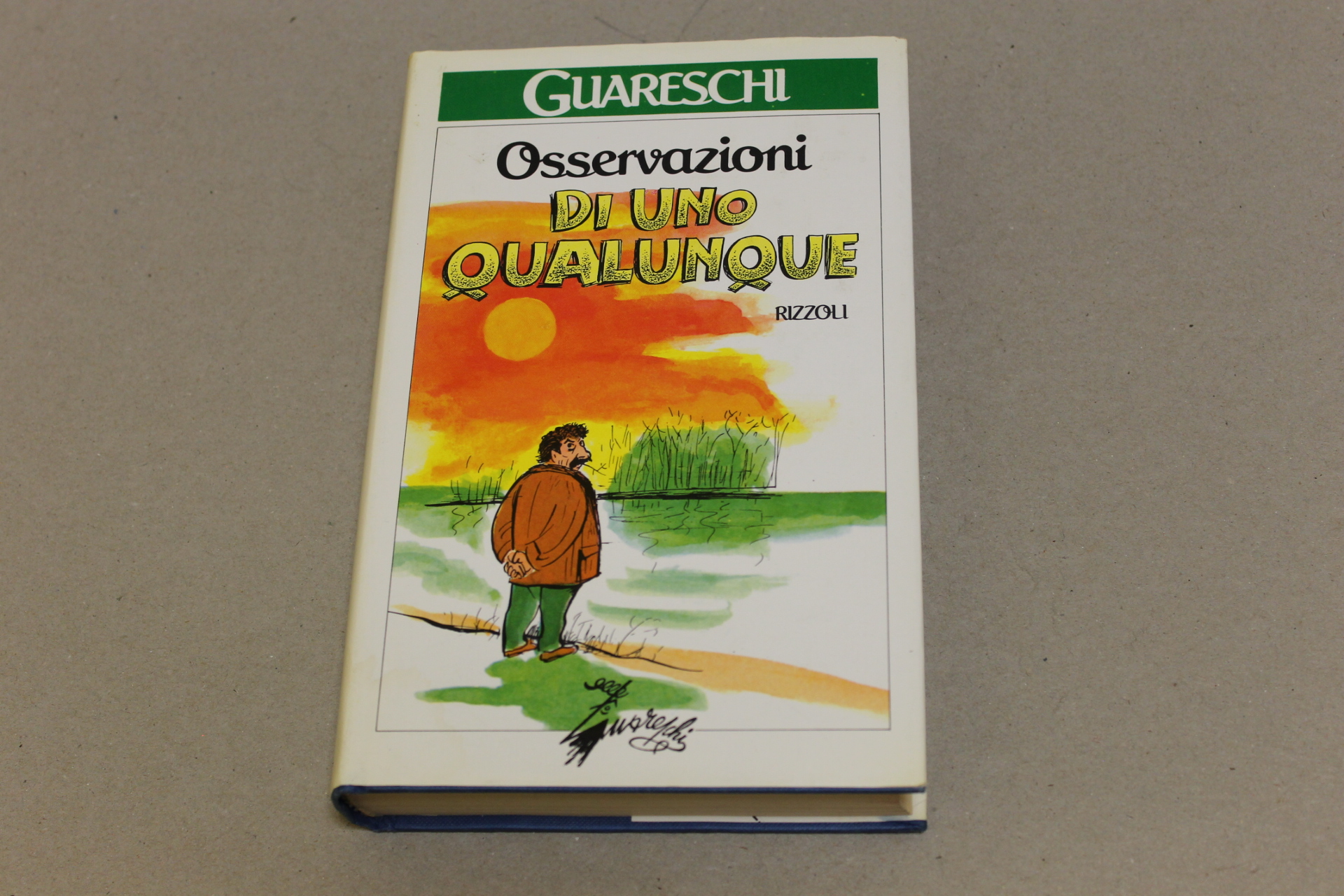 Osservazioni di uno qualunque