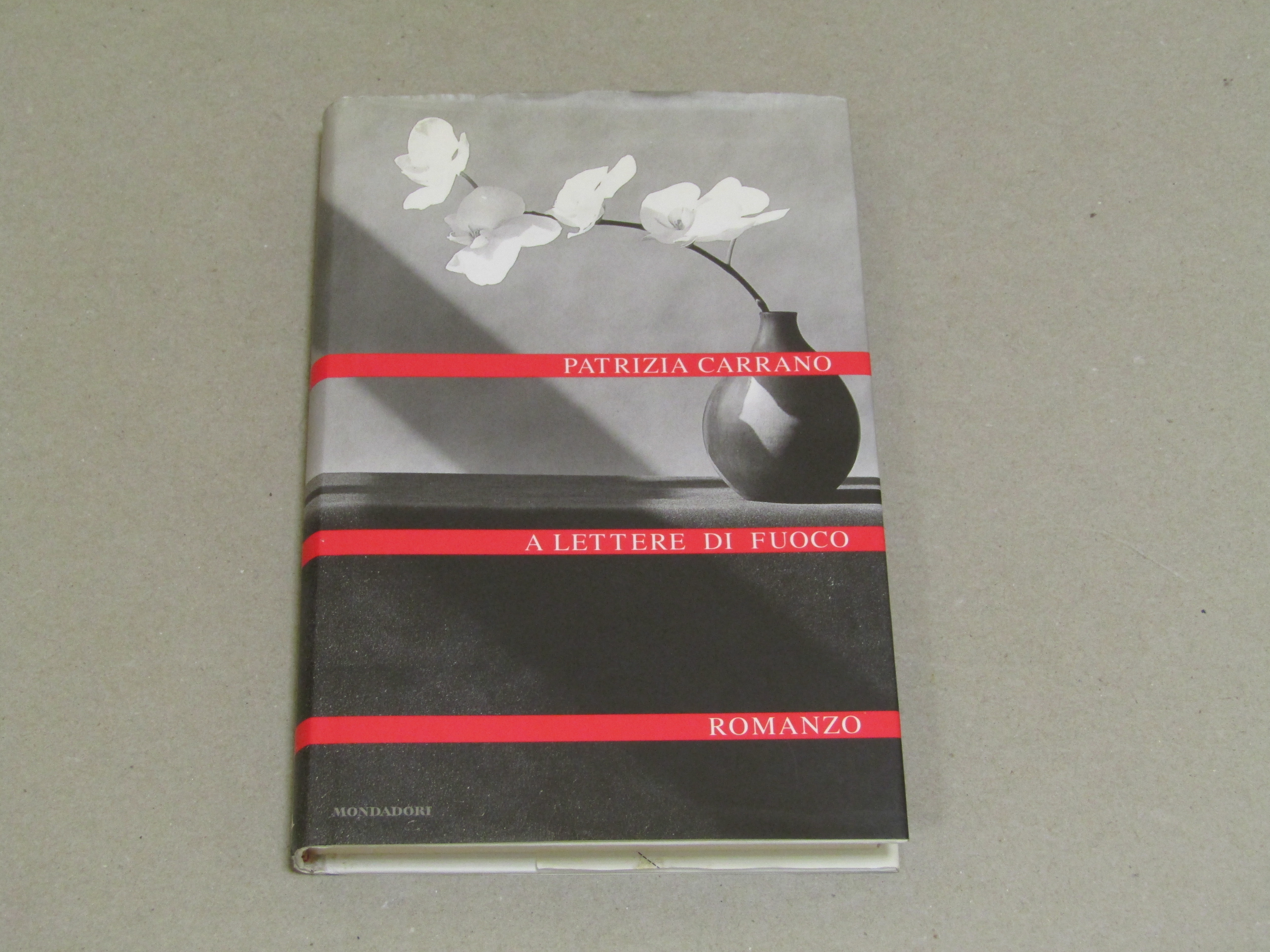 Patrizia Carrano. A lettere di fuoco