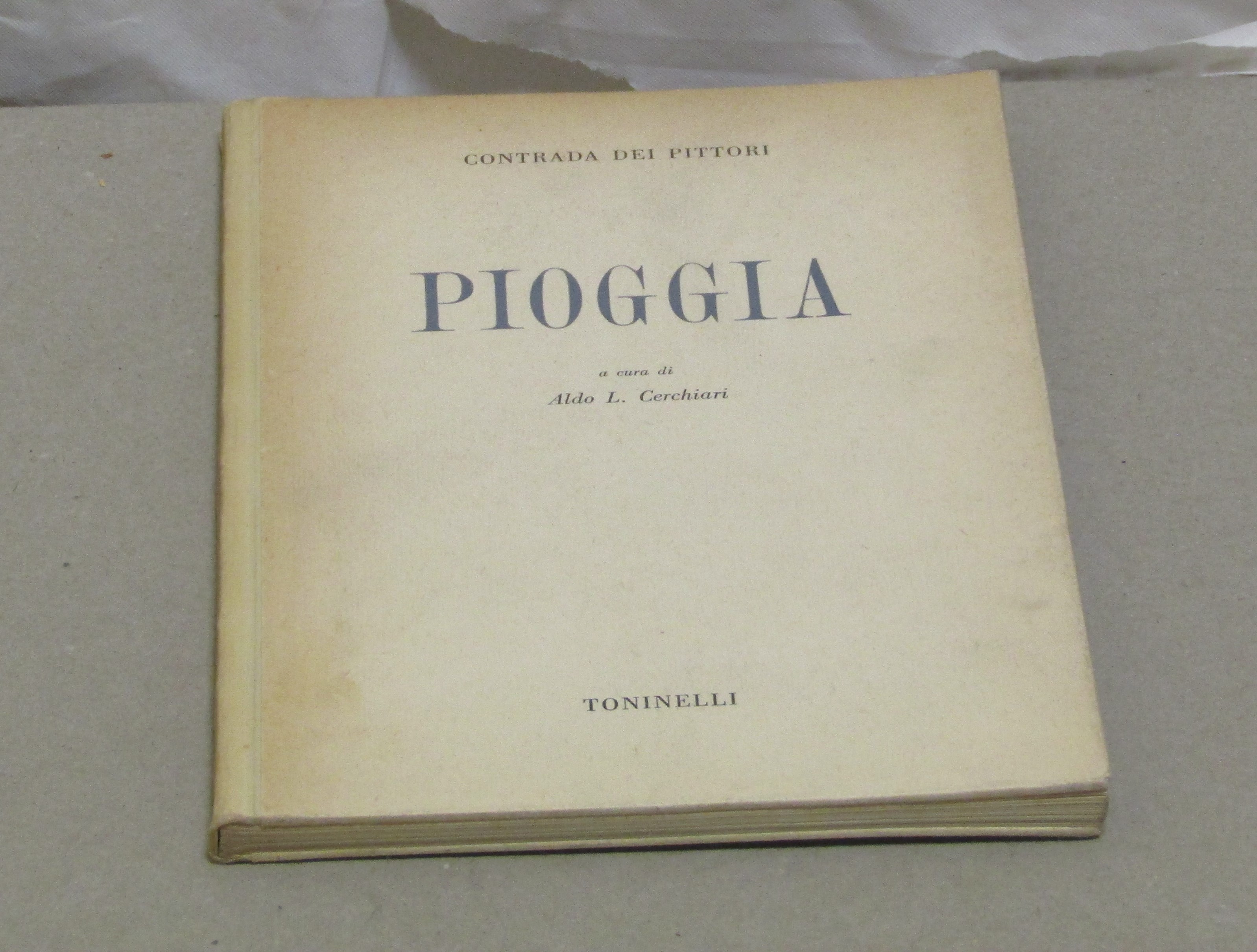 PIOGGIA - CERCHIARI ALDO LIBERTARIO