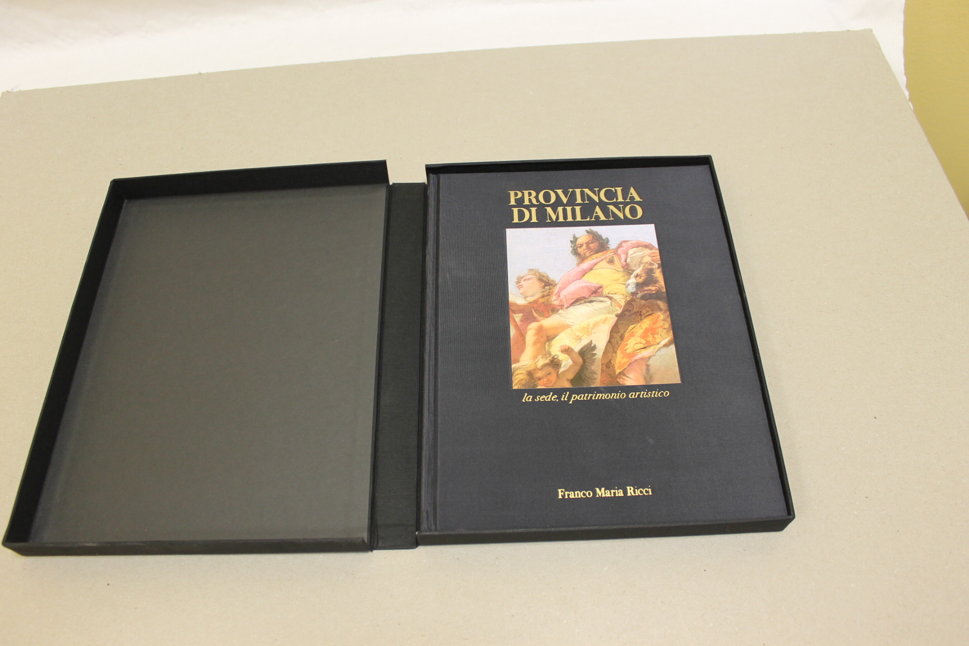 Provincia di Milano. La sede, il patrimonio artistico