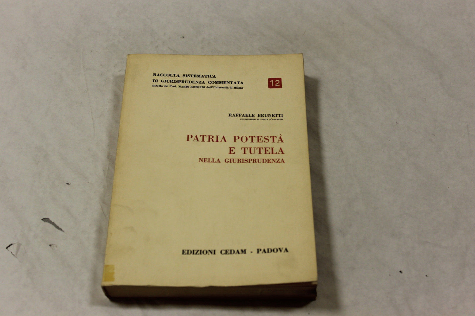 Raffaele Brunetti Patria potestà e tutela nella giurisprudenza