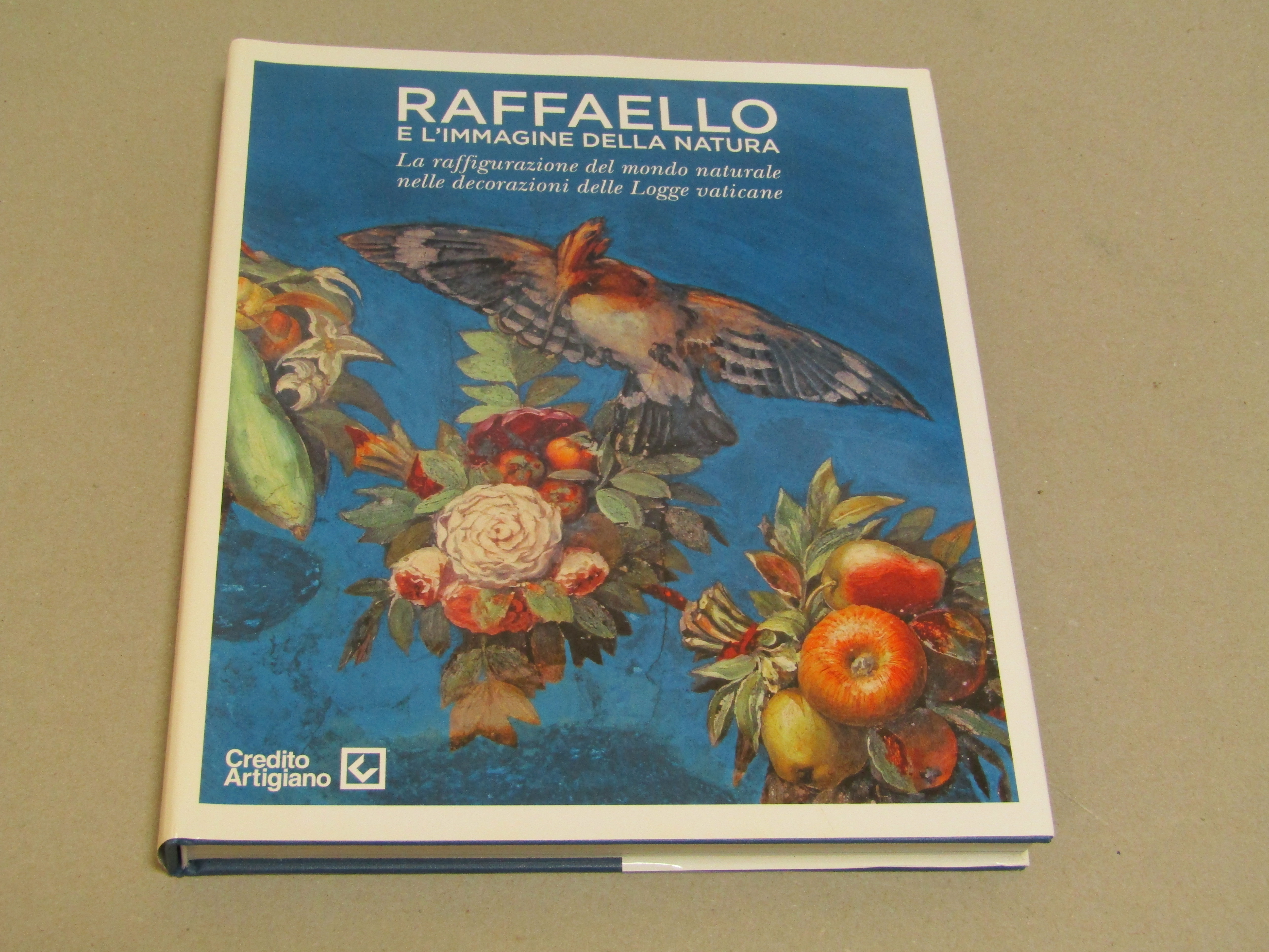 Raffaello e l'immagine della natura