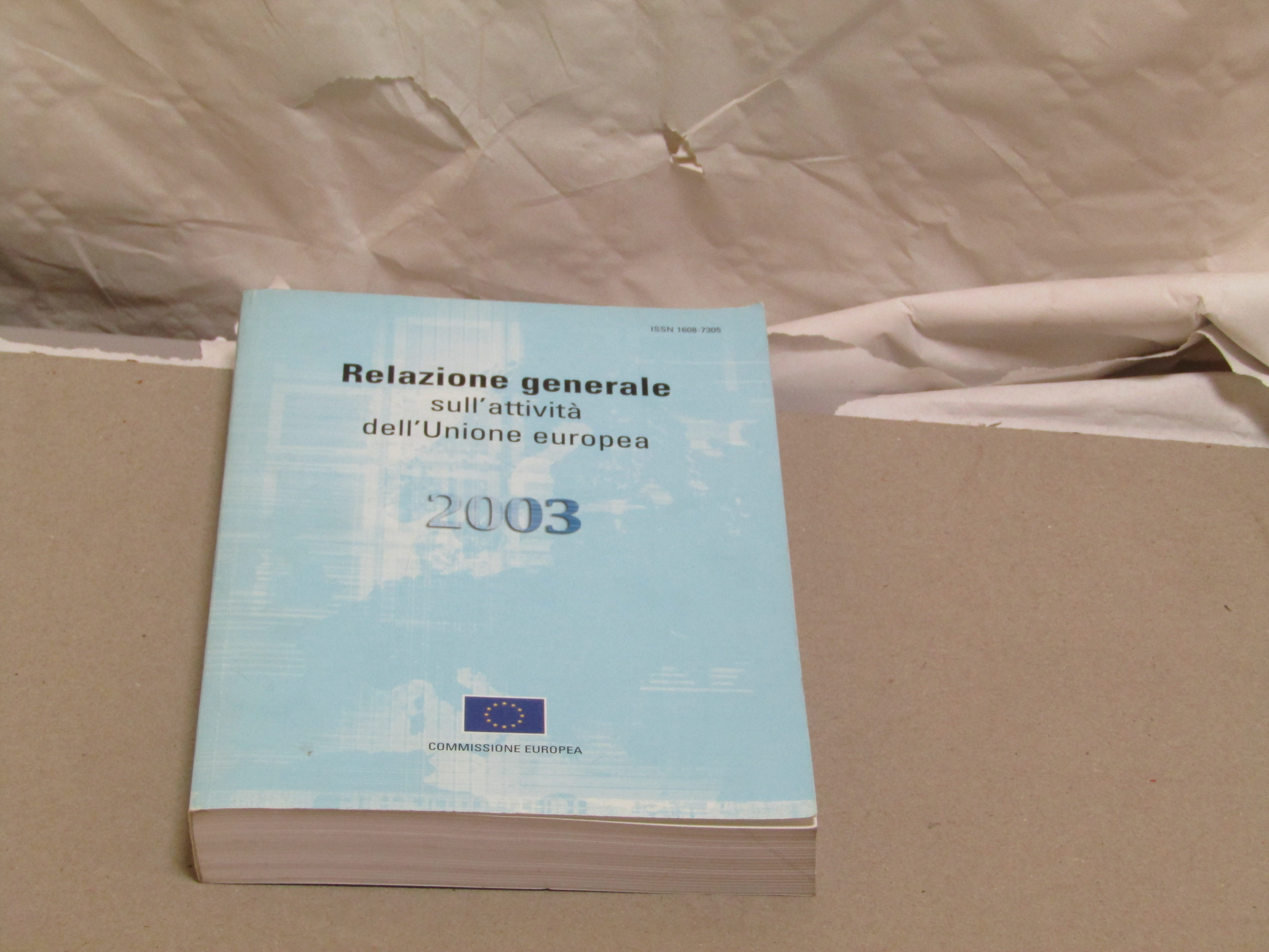 RELAZIONE GENERALE SULL'ATTIVITA' DELL'UNIONE EUROPEA 3003