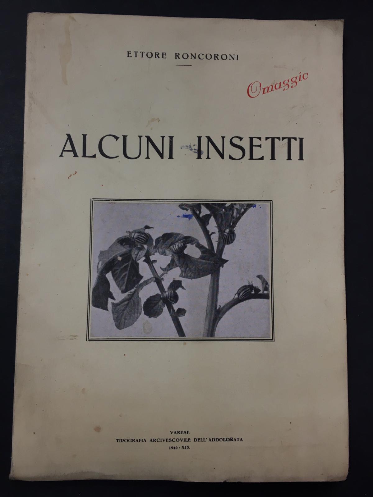 Roncoroni Ettore. Alcuni insetti. Arcivescovile dell'addolorata. 1940