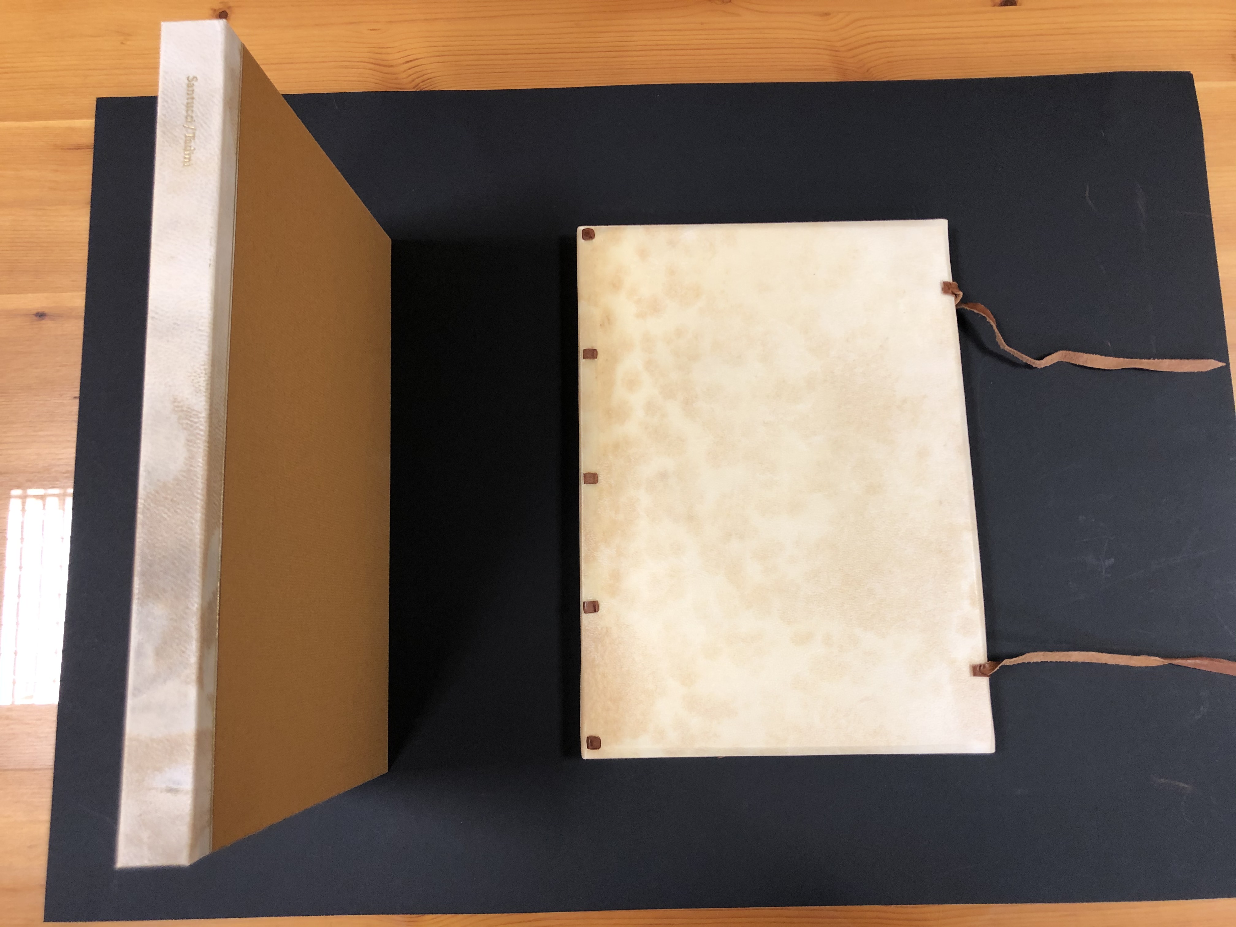 Santucci Luigi. La donna con la bocca aperta, The woman …