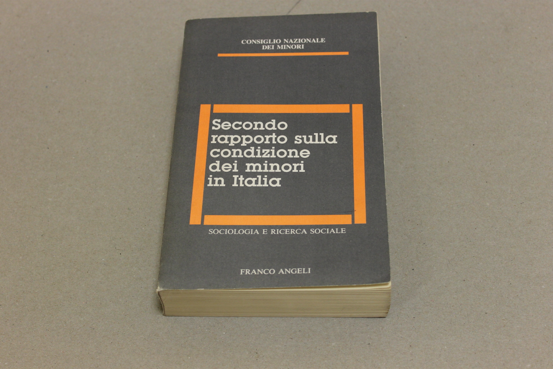 Secondo rapporto sulla condizione dei minori in Italia