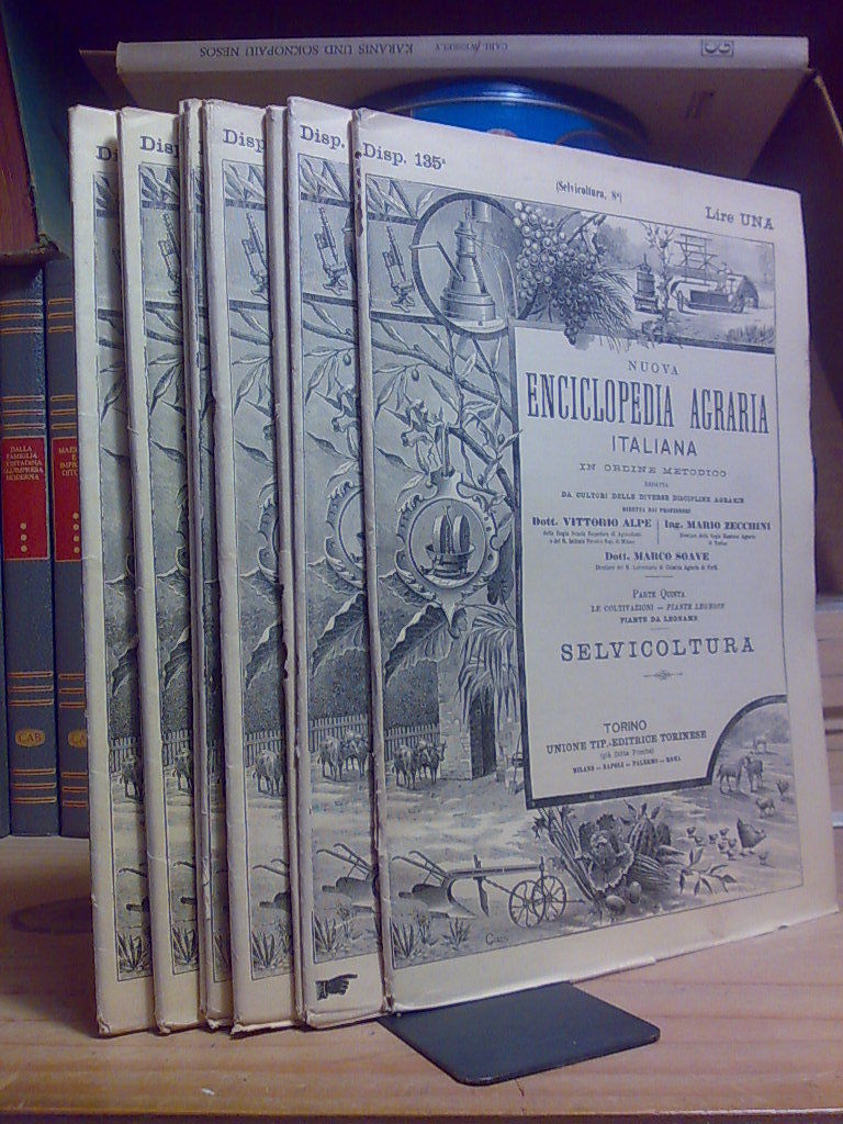 SELVICOLTURA / Nuova Enciclopedia Agraria Italiana - 1915 - in …