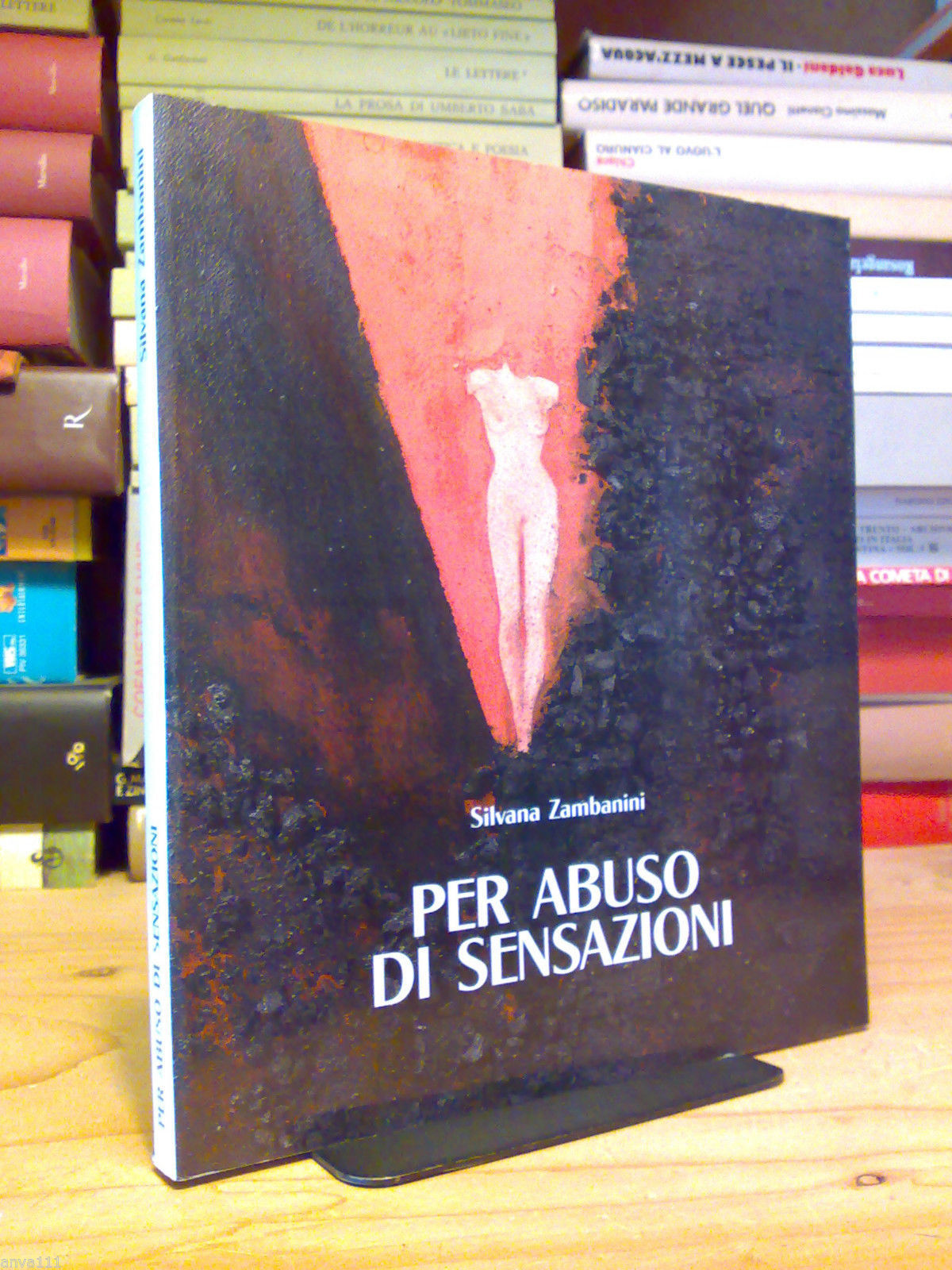 Silvana Zambanini - PER ABUSO DI SENSAZIONI - 1991