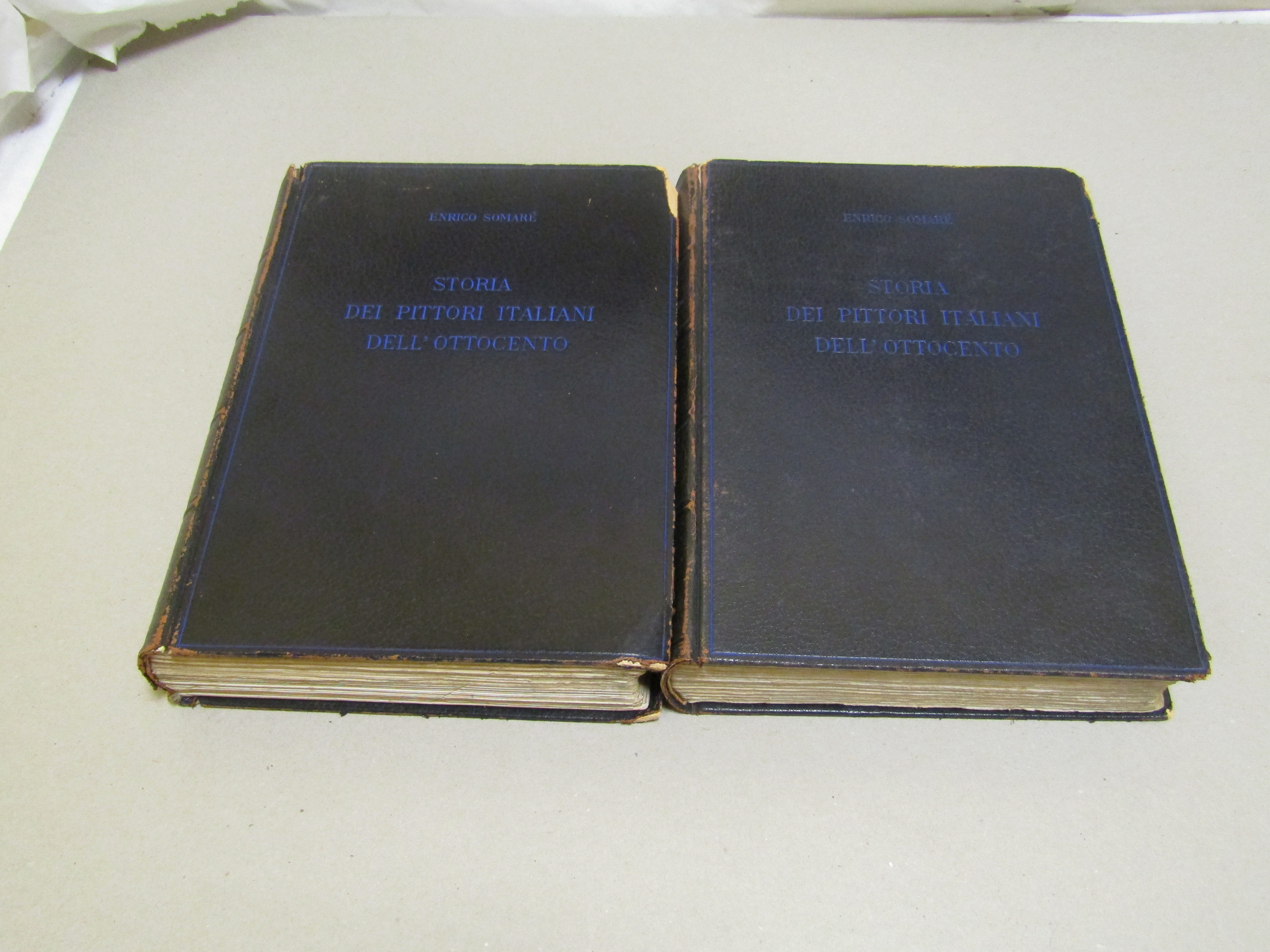 Storia dei pittori italiani dell'Ottocento