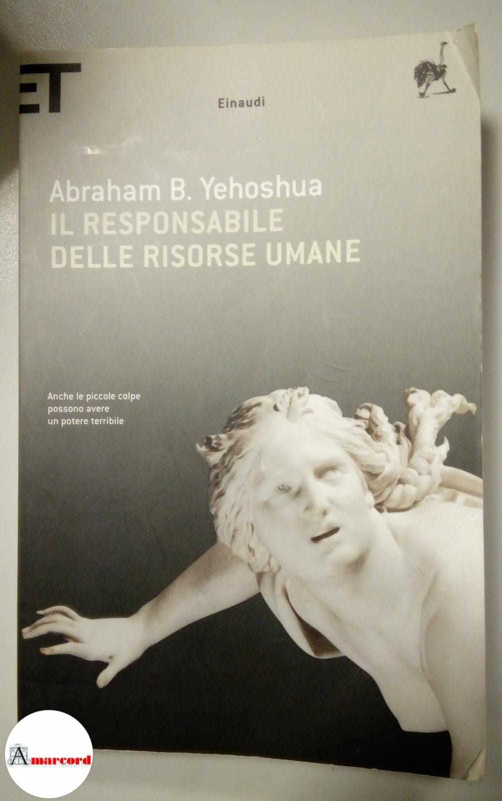 Yehoshua Abraham, Il responsabile delle risorse umane, Einaudi, 2004.