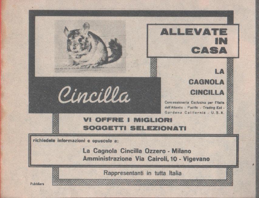 Allevate in casa cincillà. La Cagnola Cincillà. Pubblicità. 1963