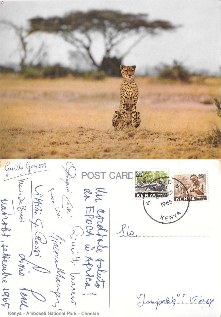 Amboseli National Park. Kenya. Viaggiata 1965