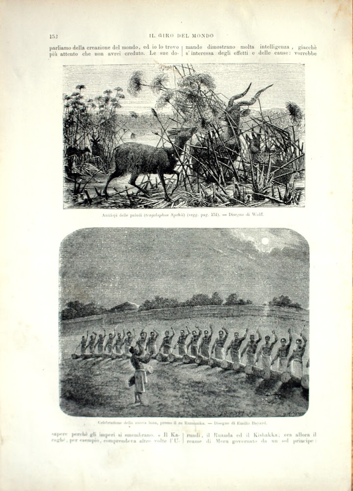 Antilopi delle paludi (tragelaphus Spekii), Celebrezione della nuova luna. Stampa …