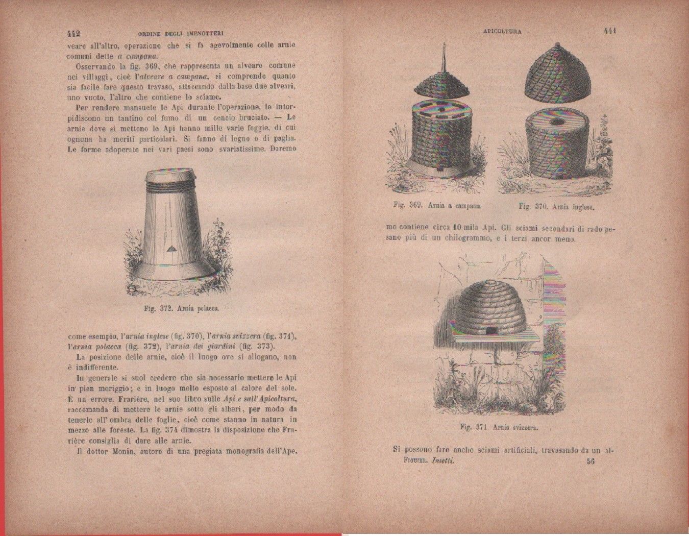 Arnia polacca/Arnia a campana, Arnia inglese, Arnia svizzera. Vecchia stampa