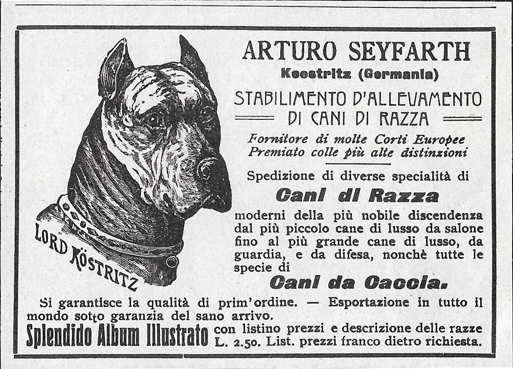 Arturo Seyfarth. Cani di Razza. Advertising 1912