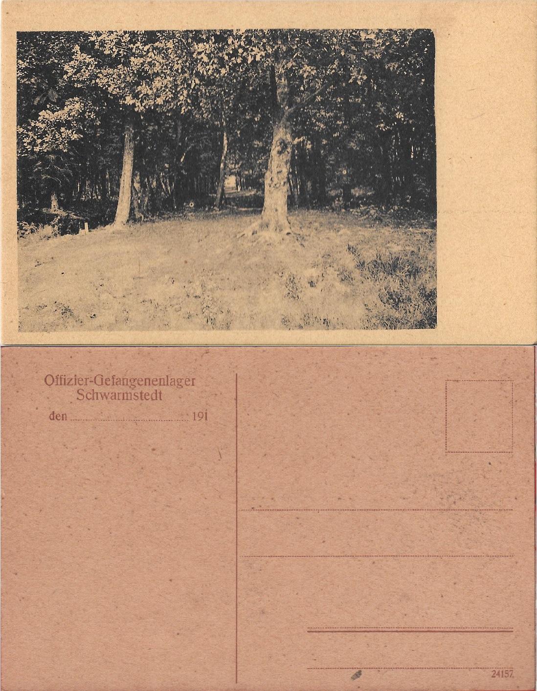 Bosco. Non viaggiata, inizio 900