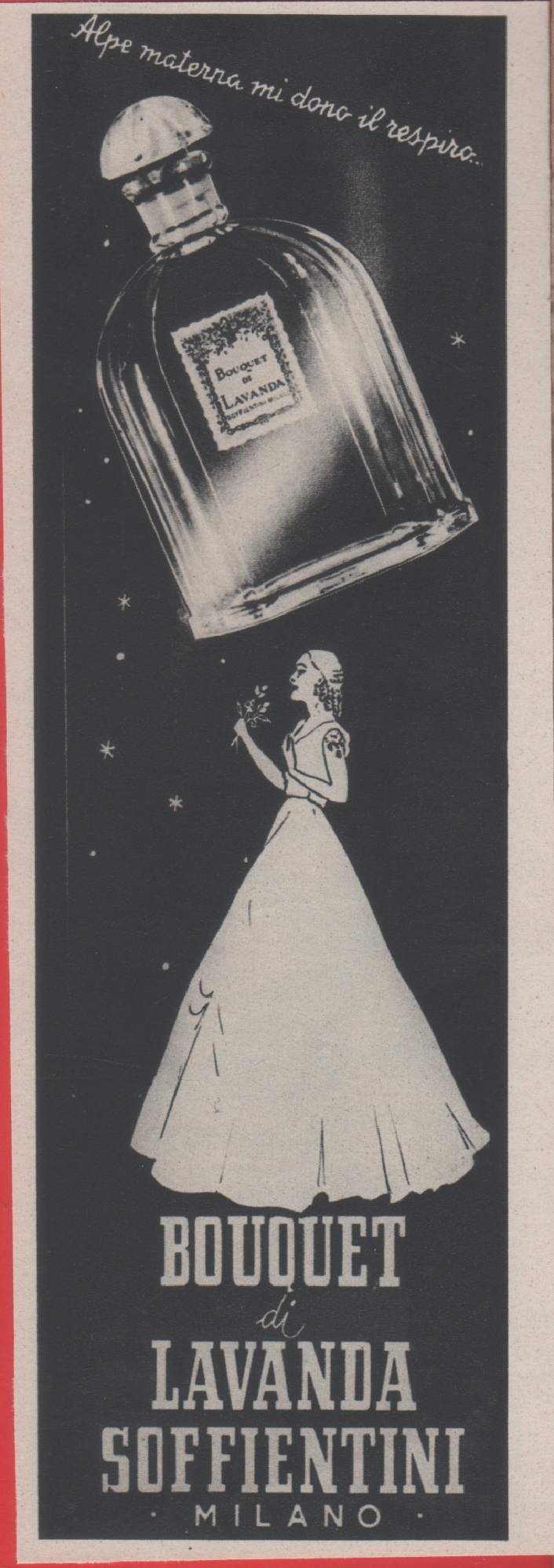 Bouquet di lavanda Soffientini. Milano. Advertising 1938