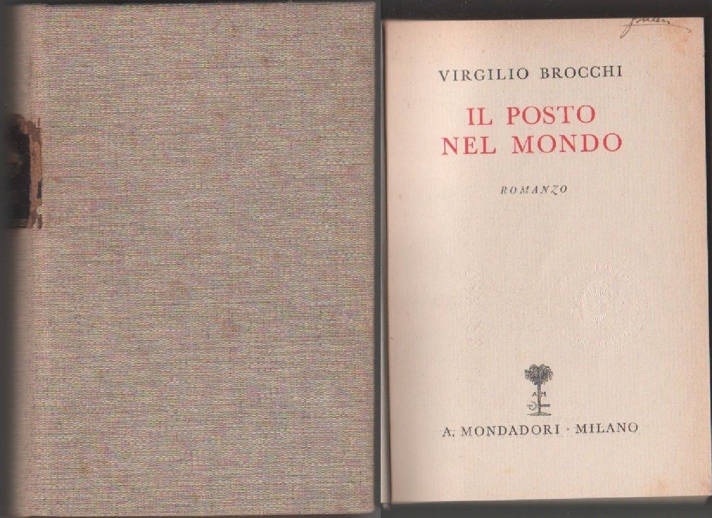 Il posto nel mondo -Brochi Virgilio