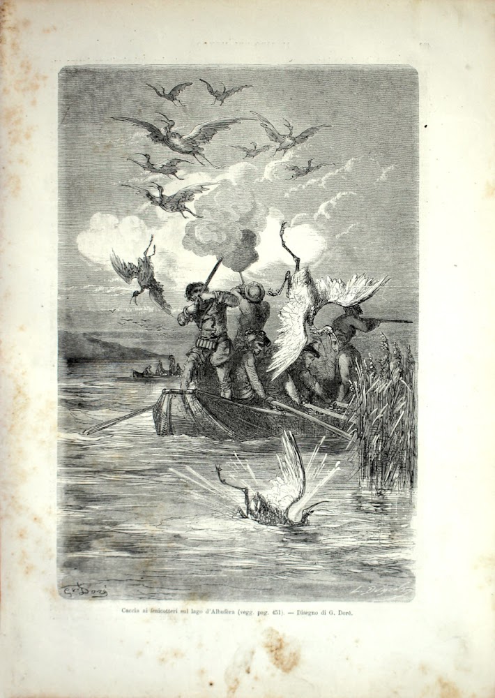 Caccia ai fenicotteri sul lago d'Albufera. Stampa 1864