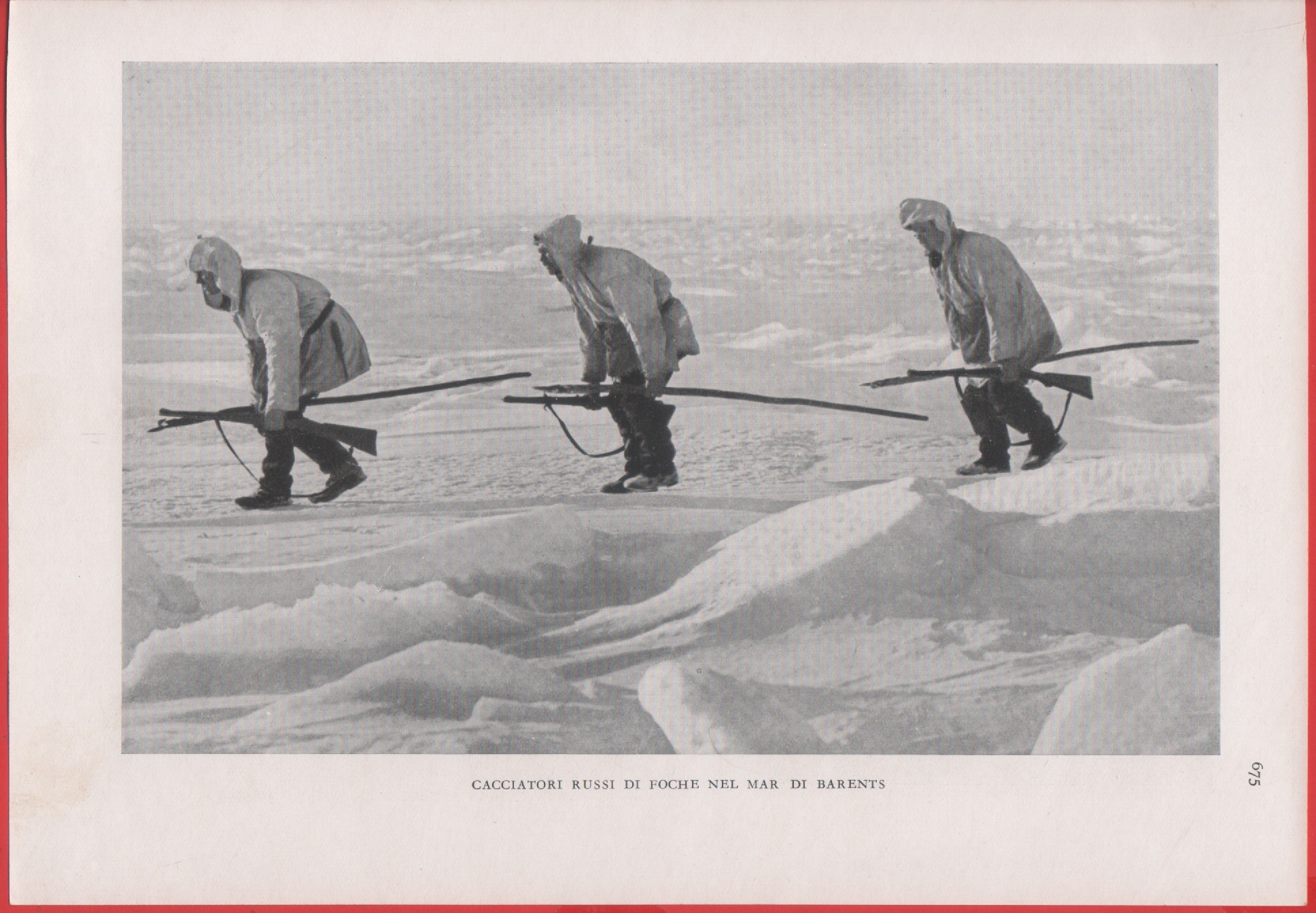 Cacciatori di foche nel Mar di Barets. Immagine 1937