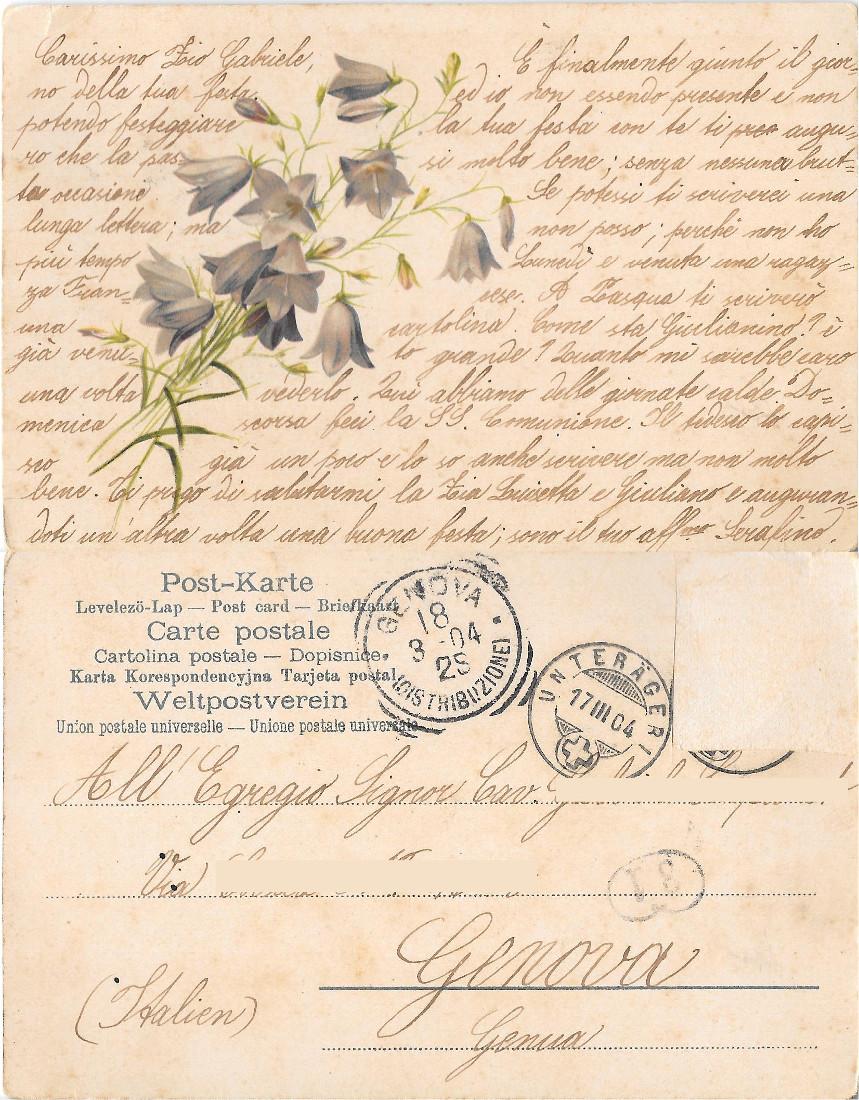 Campanule. Viaggiata 1904