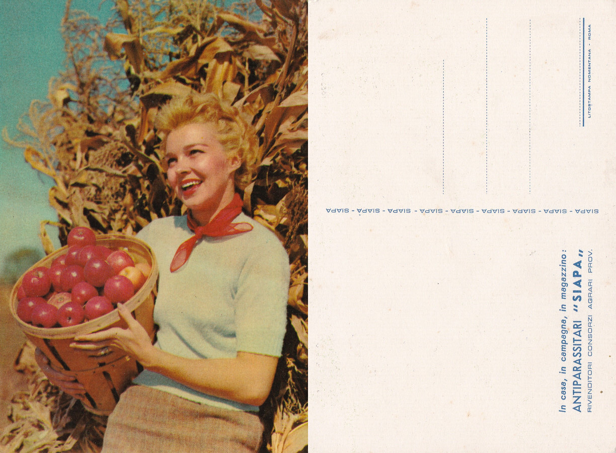 Cartolina pubblicitaria Antiparassitari SIAPA. Non viaggiata