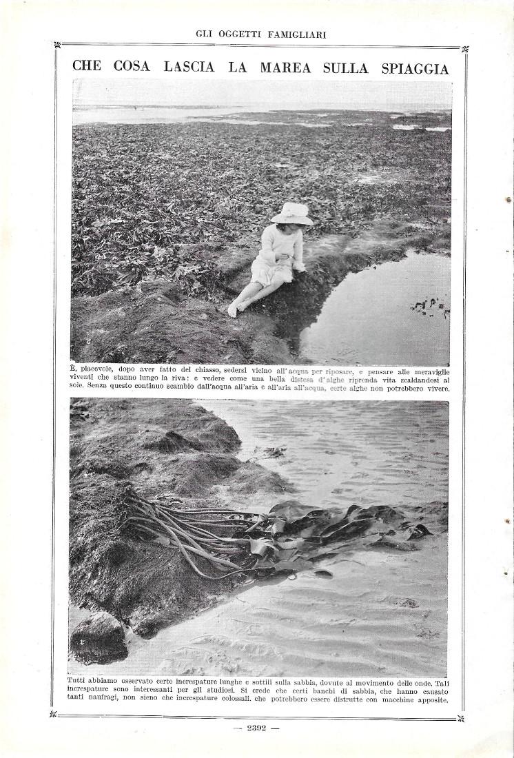 Che cosa lascia la marea sulla spiaggia. Stampa 1923